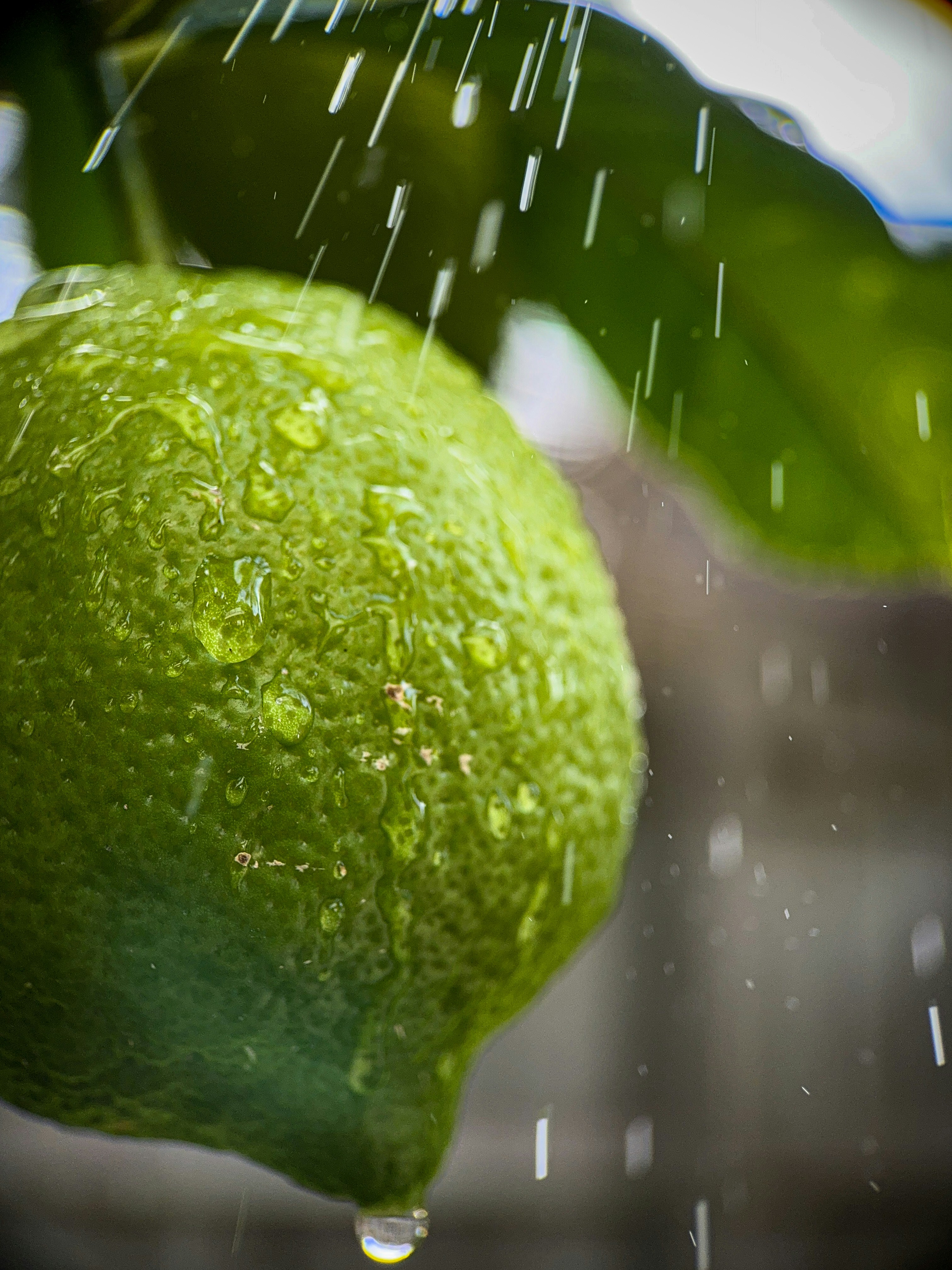 The Unveiled Power of Soaking: Exploring Soaked Dry Fruits Benefits for Enhanced Health