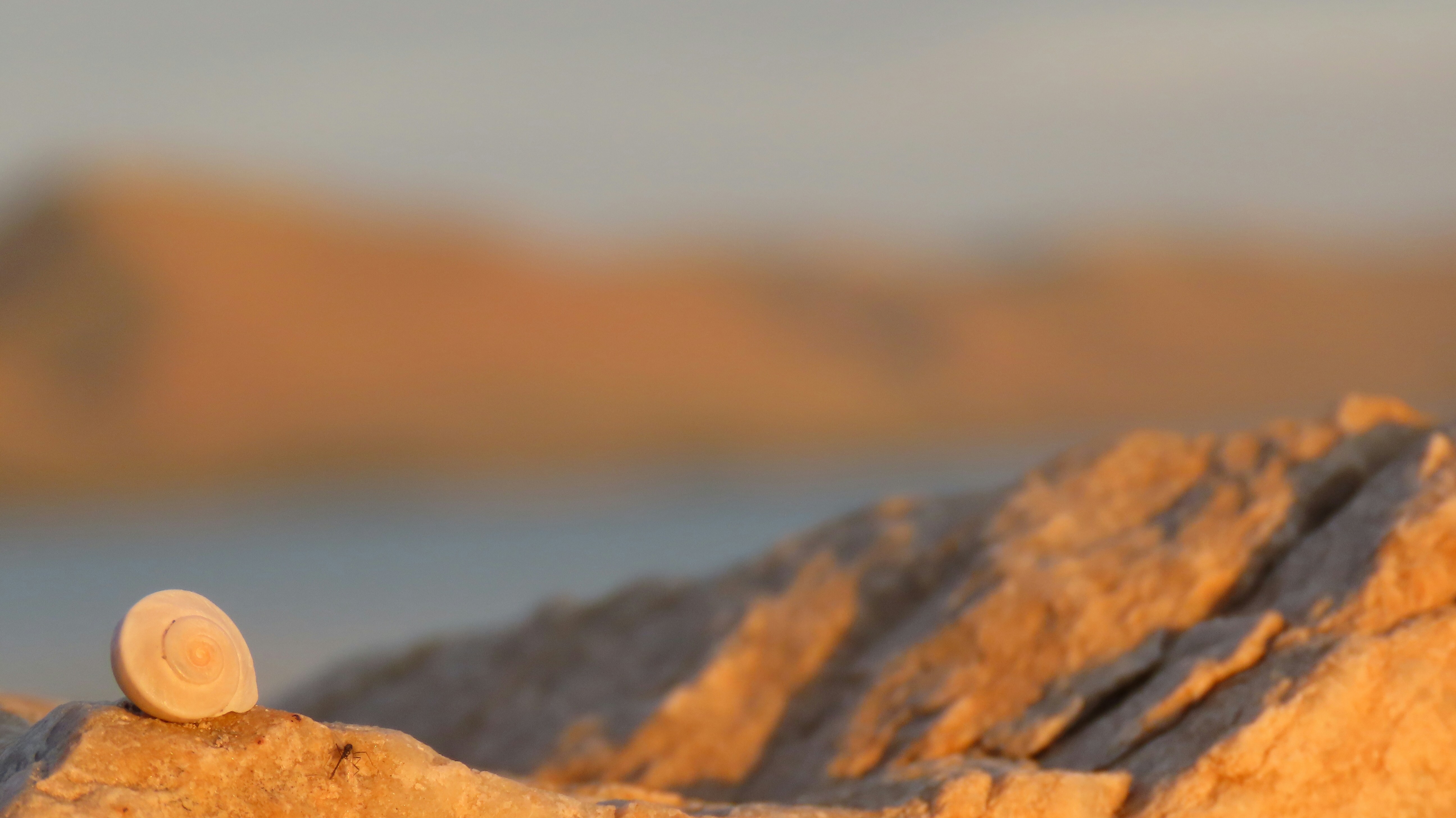 Photo by marchingnapkin