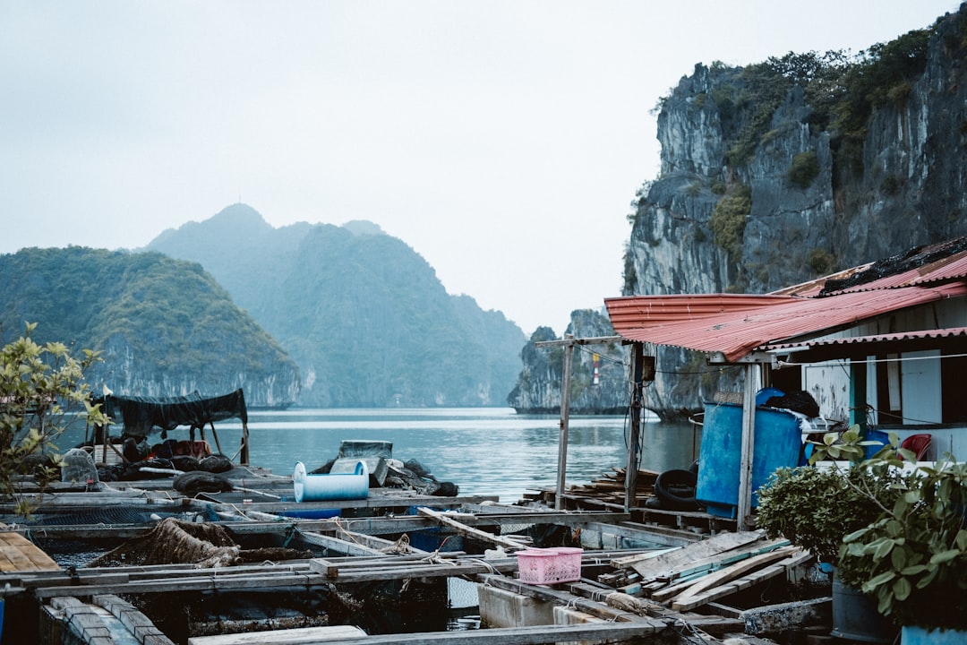 A person standing on a boat in a body of water, 
