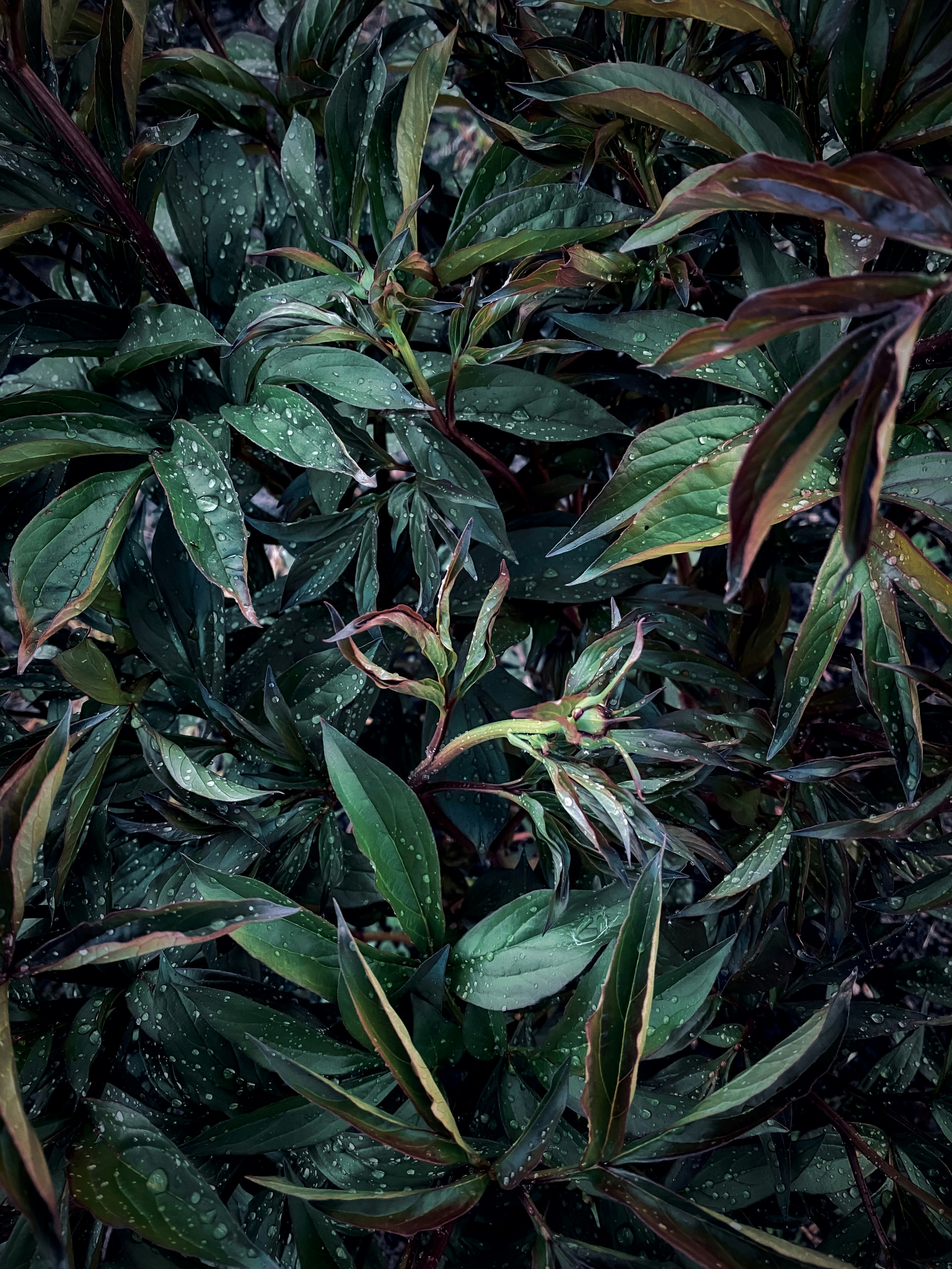 Photo by eugene_golovesov