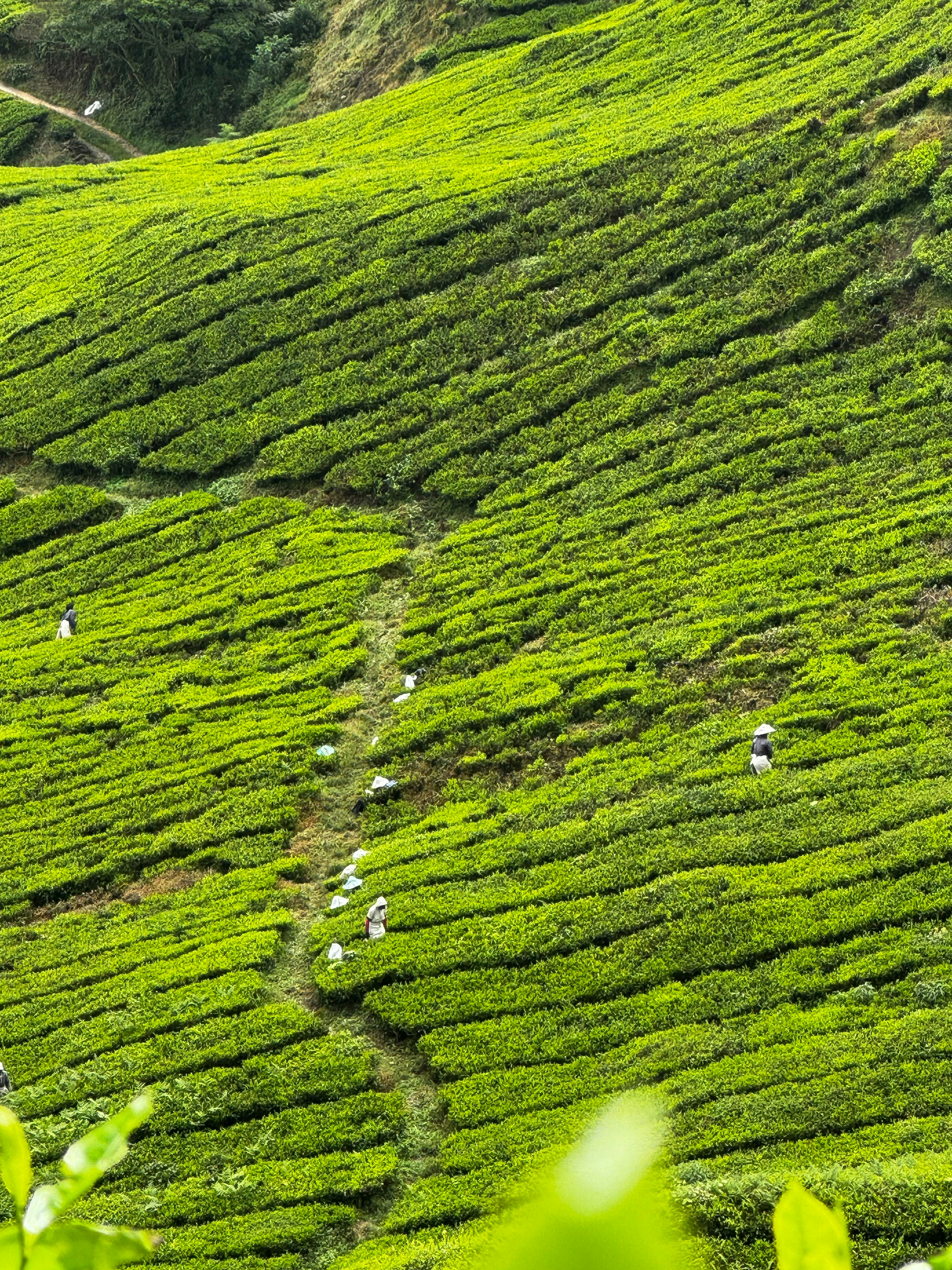 Photo by enammakafui