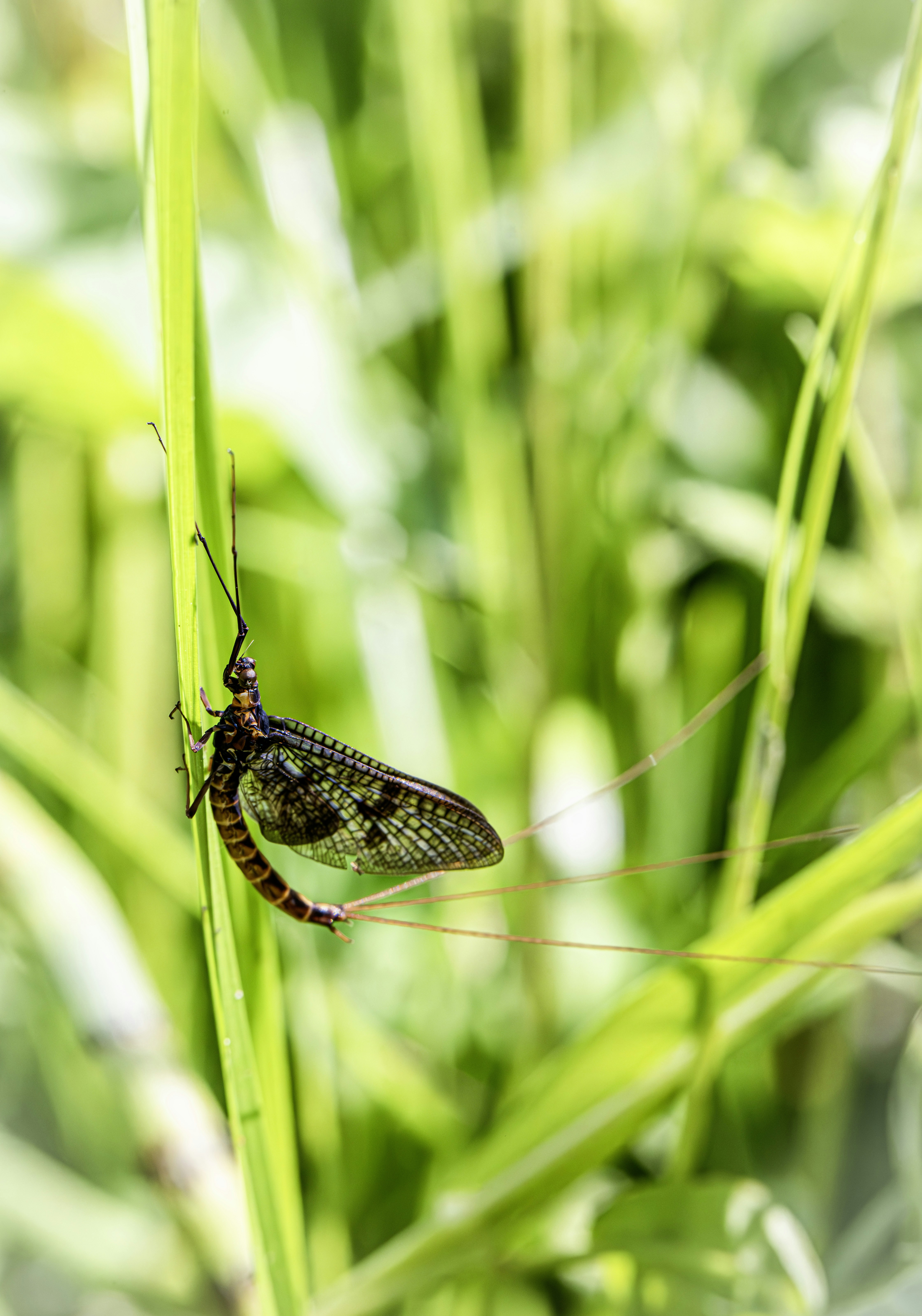 Photo by erik_karits