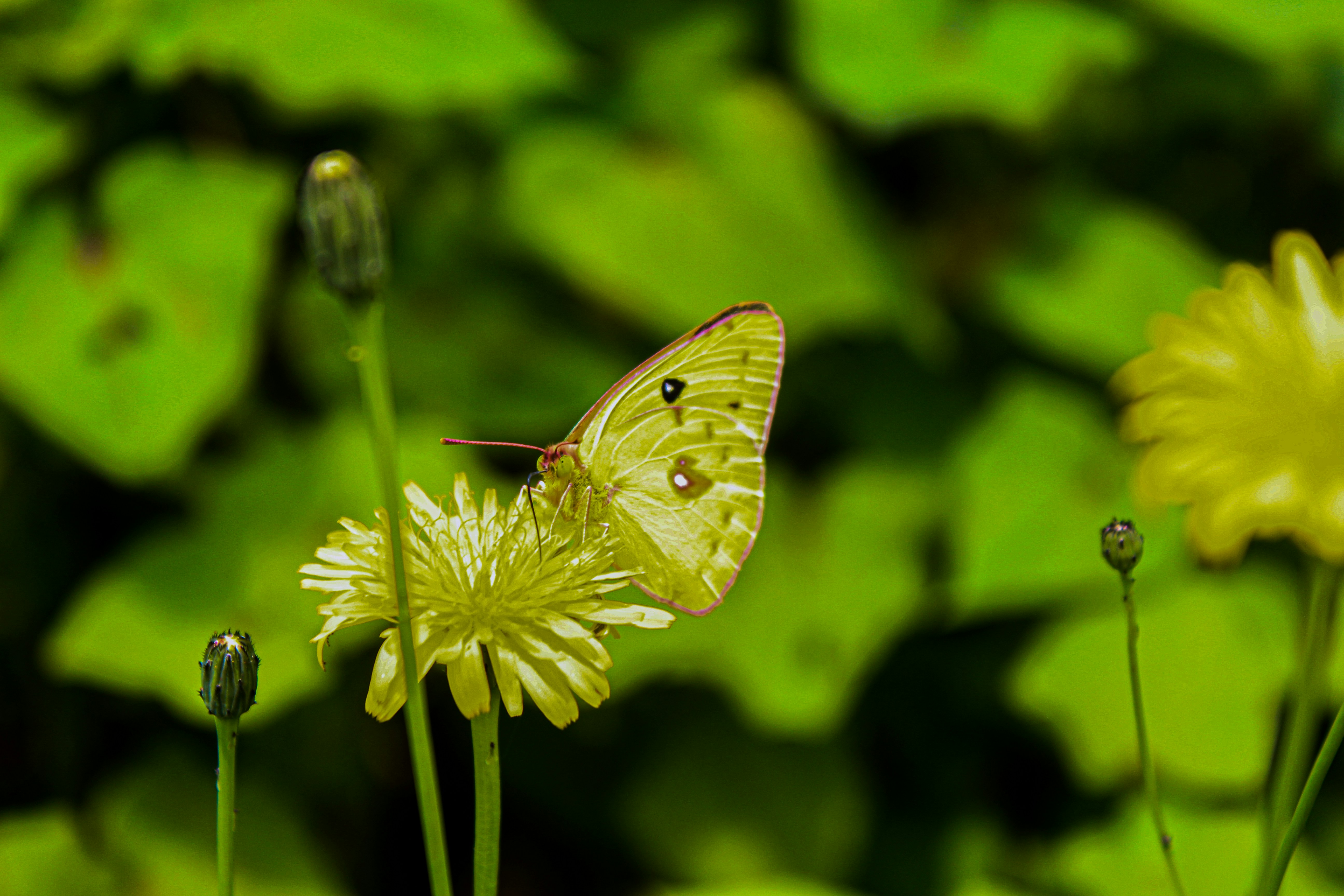 Photo by augustine_16