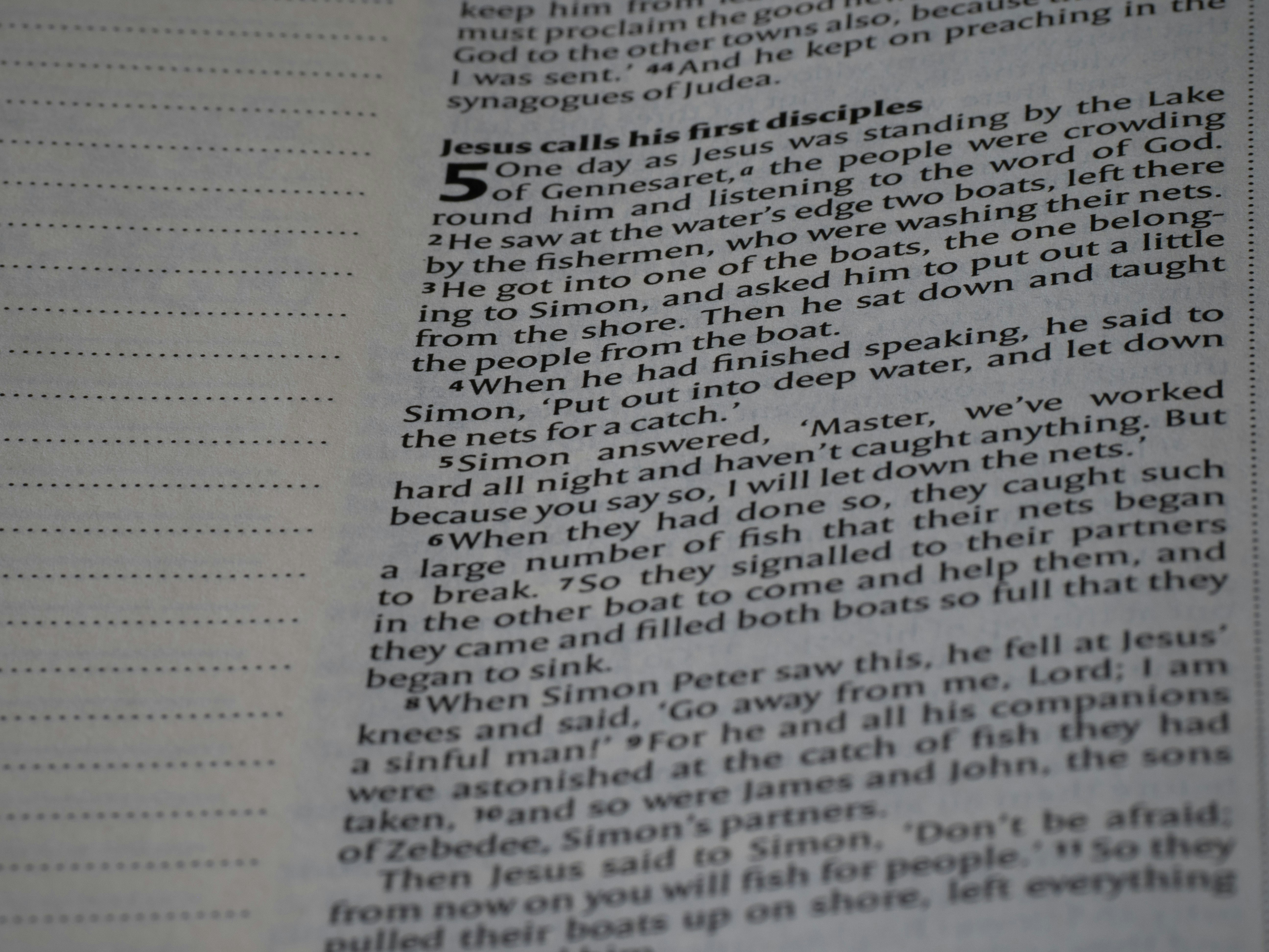 Photo by brett_jordan