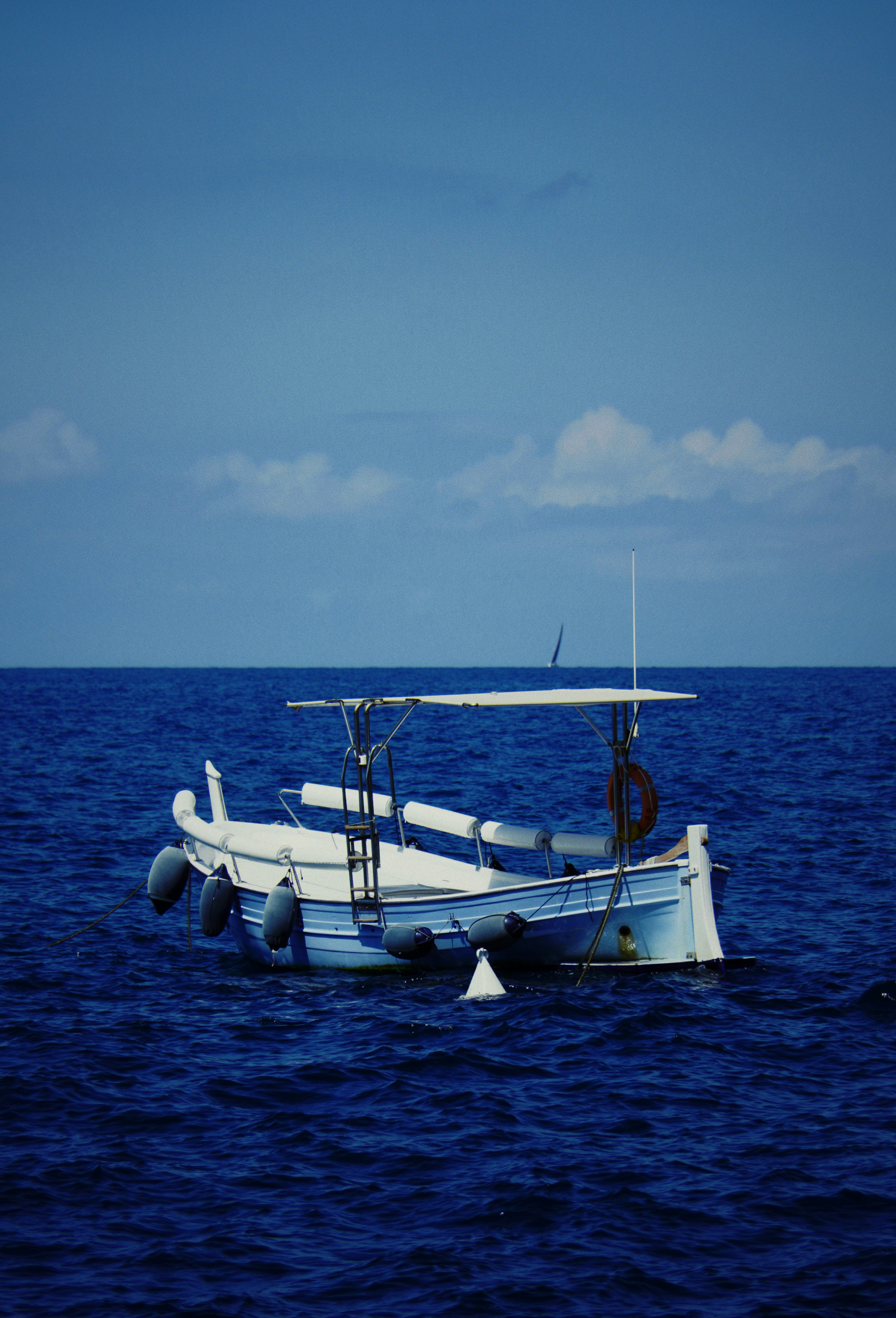 Photo by greenliustudio