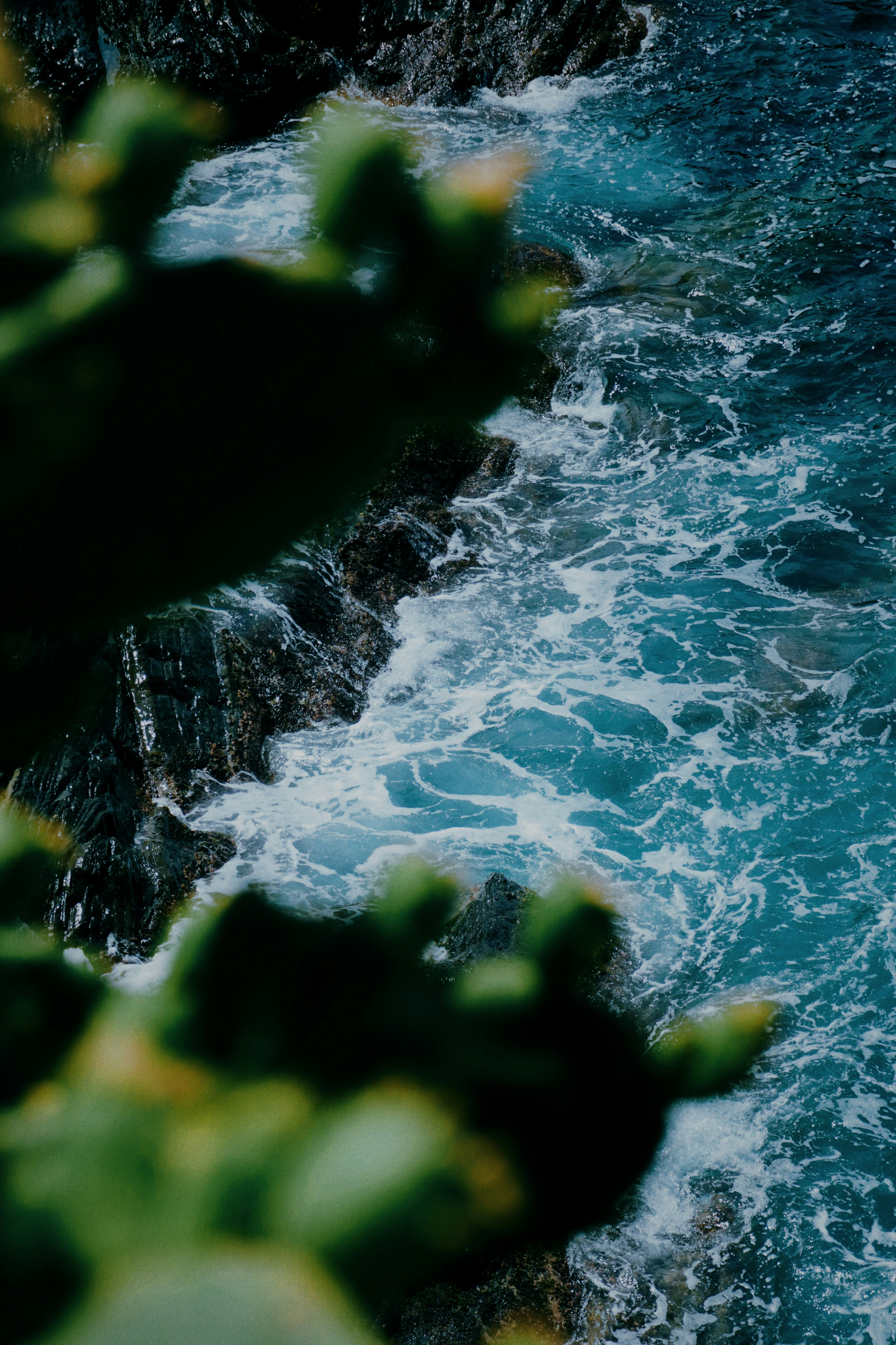 Photo by greenliustudio