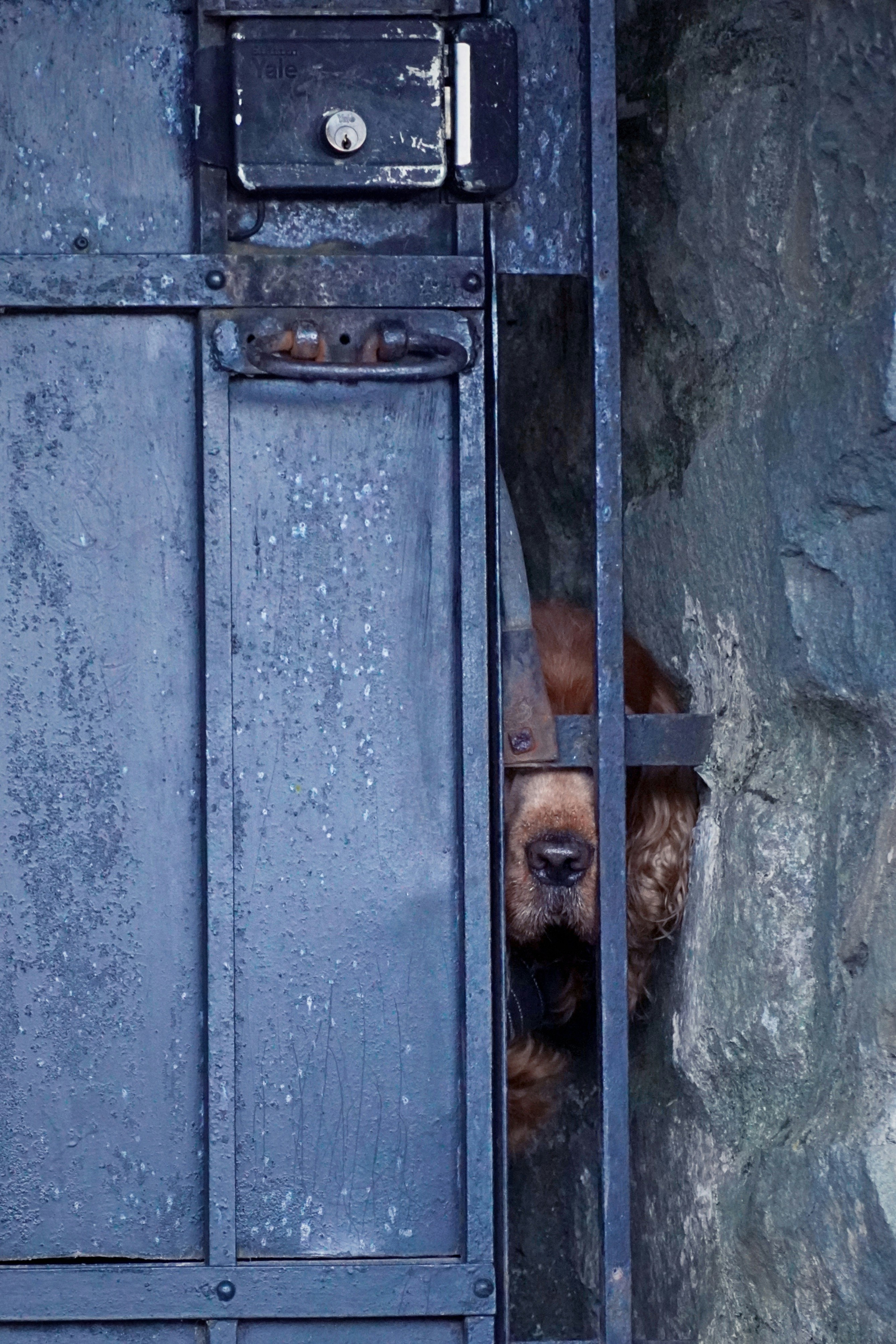 Photo by greenliustudio