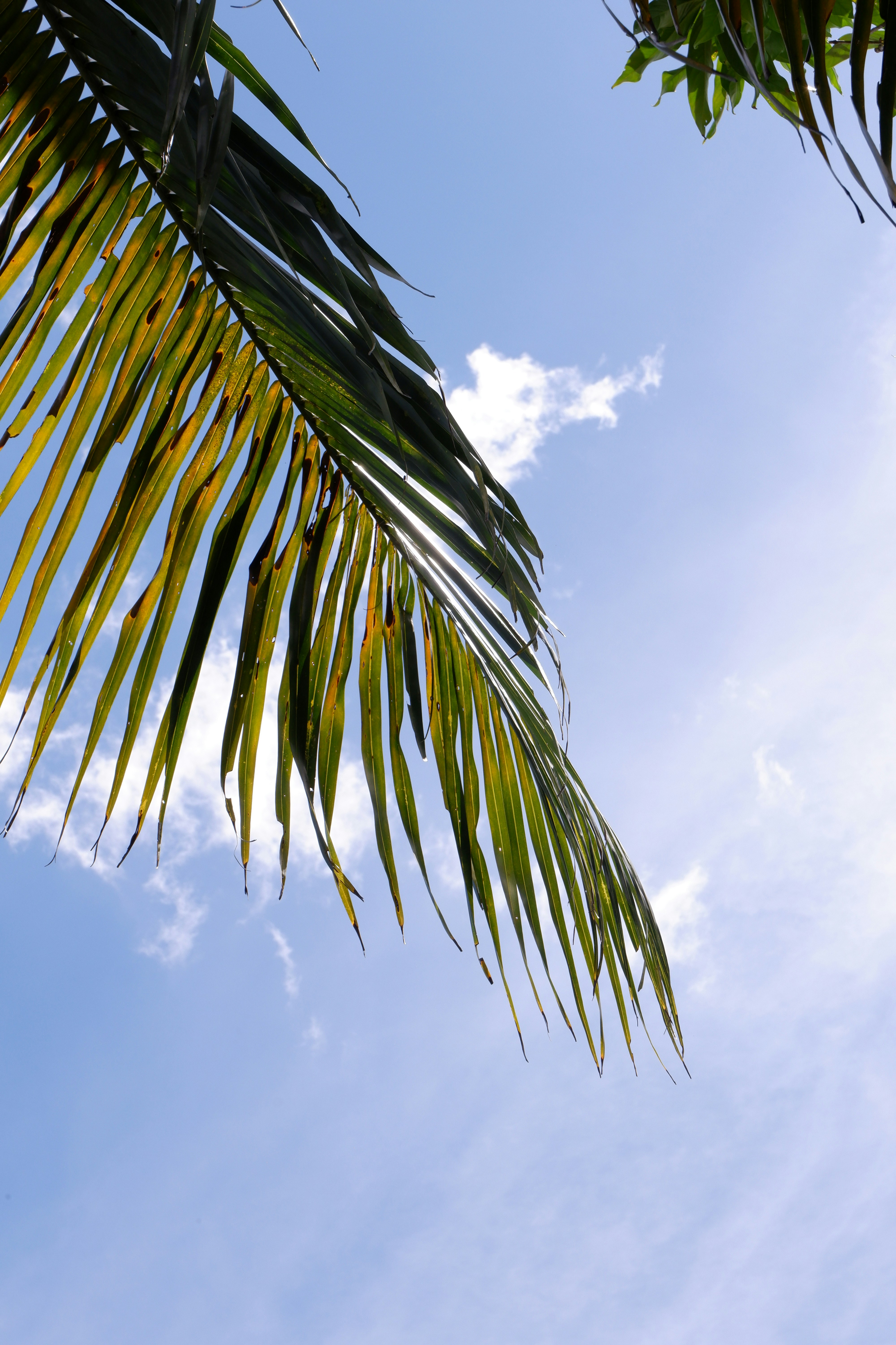 Photo by jepretualang