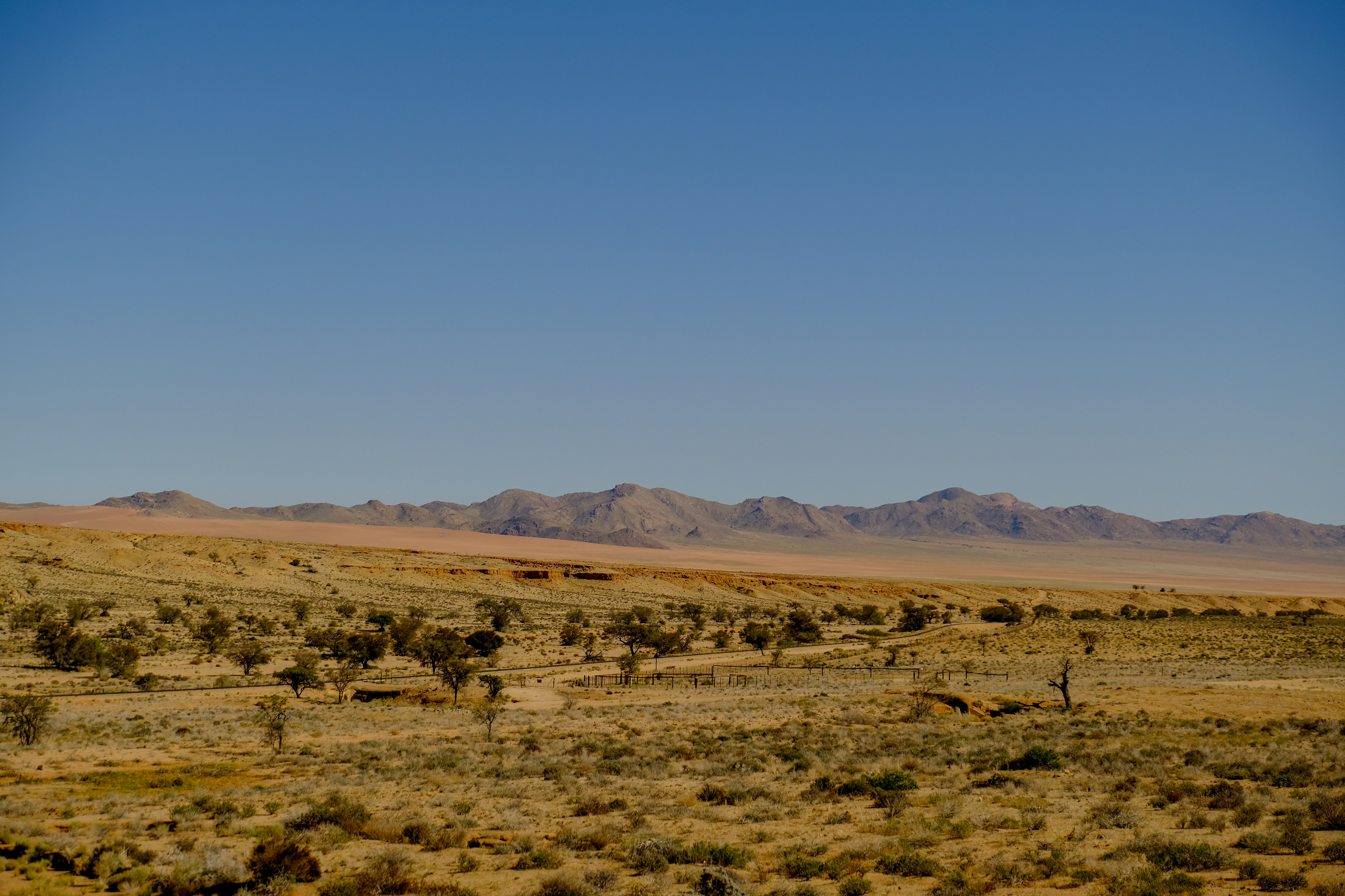 Photo by francesco_ungaro