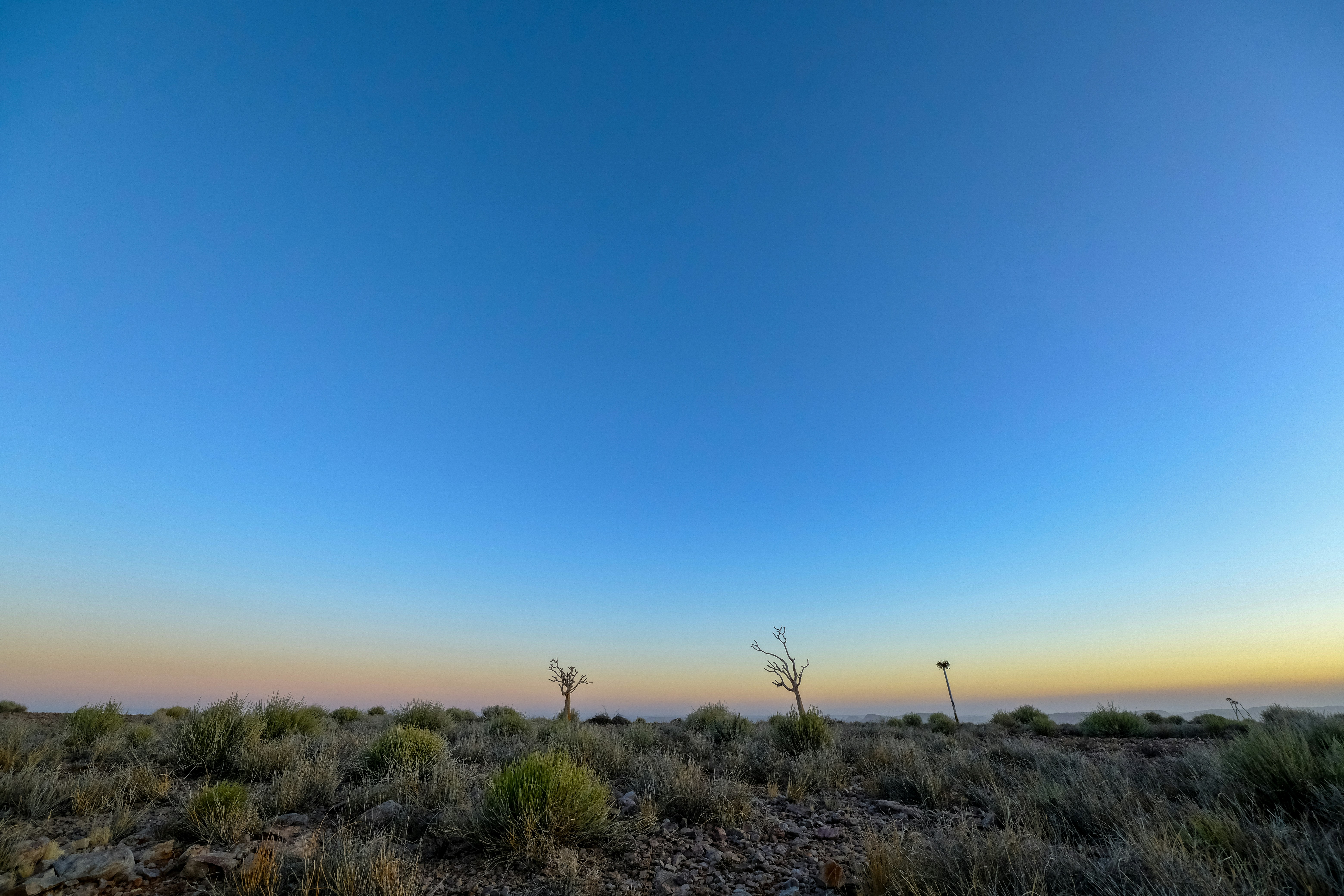 Photo by francesco_ungaro