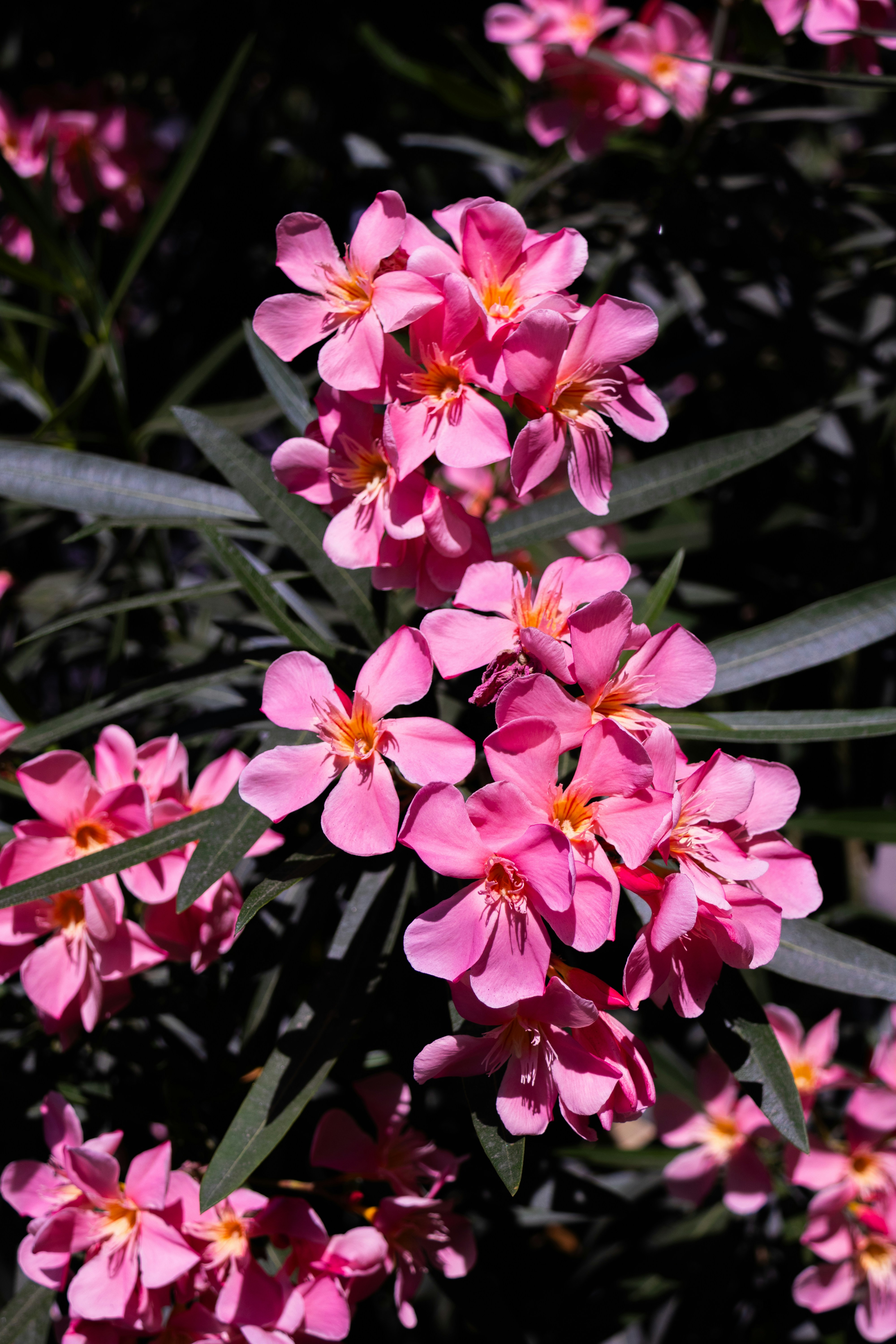 Photo by stephanie10