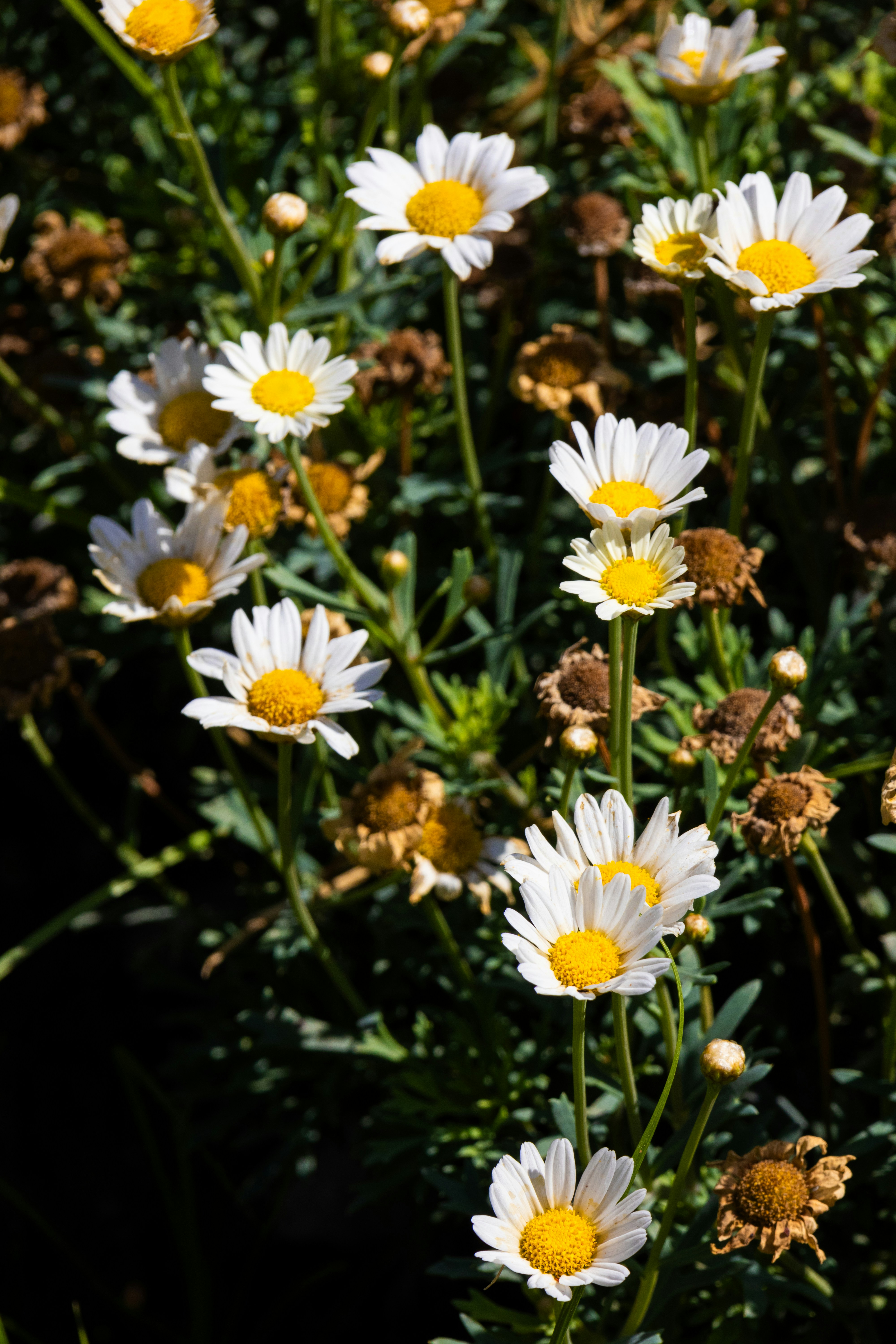 Photo by stephanie10