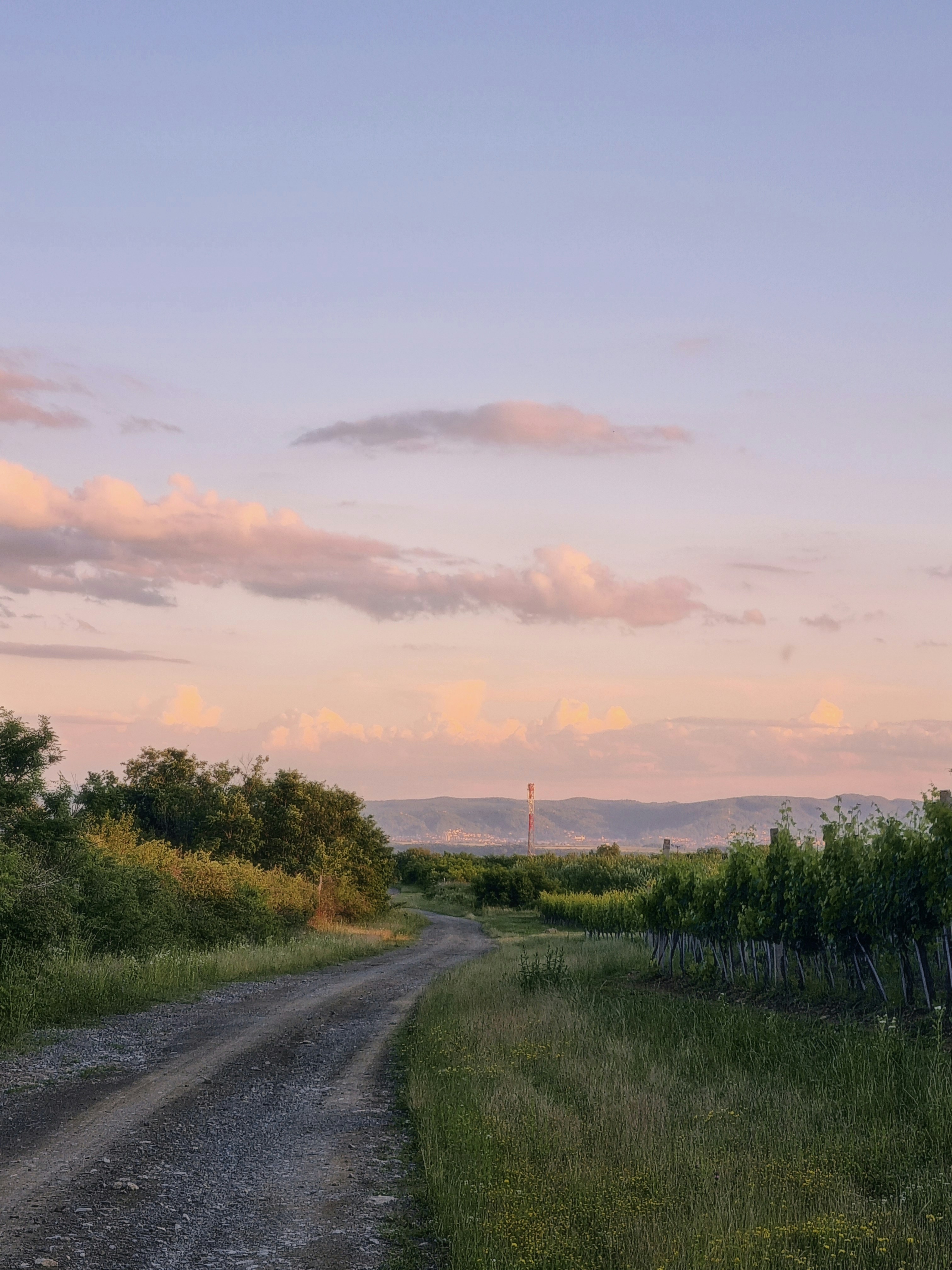 Photo by ineskopu