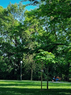 A group of people sitting on top of a lush green park