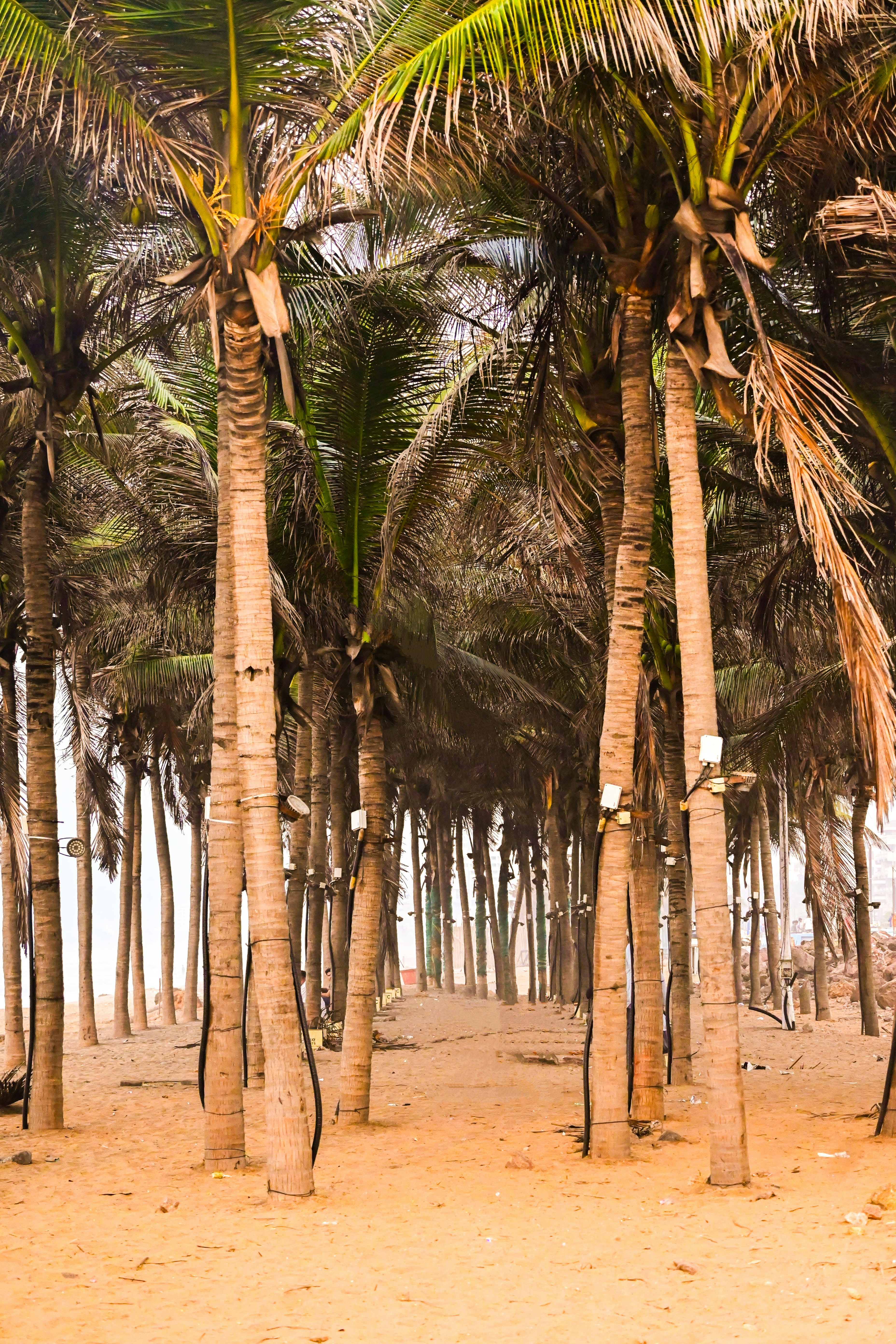 Photo by its_aryansurr