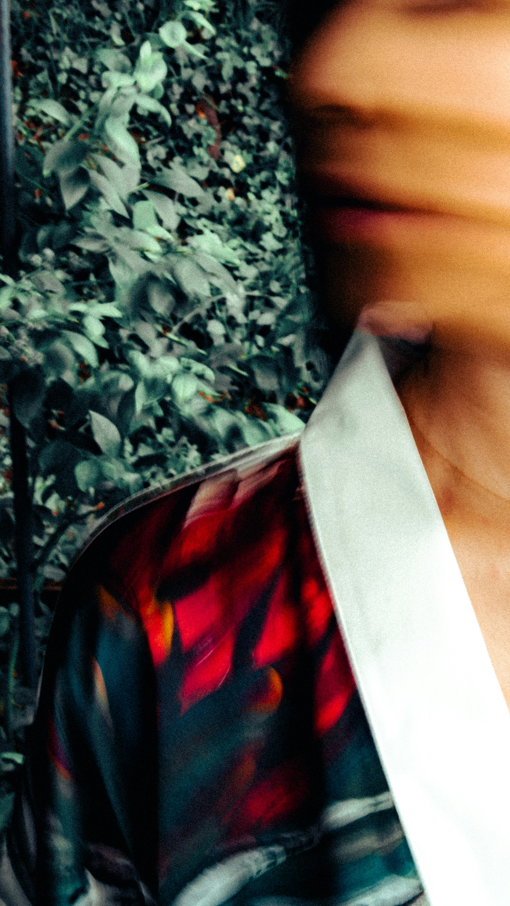 Photo by branislavrodman