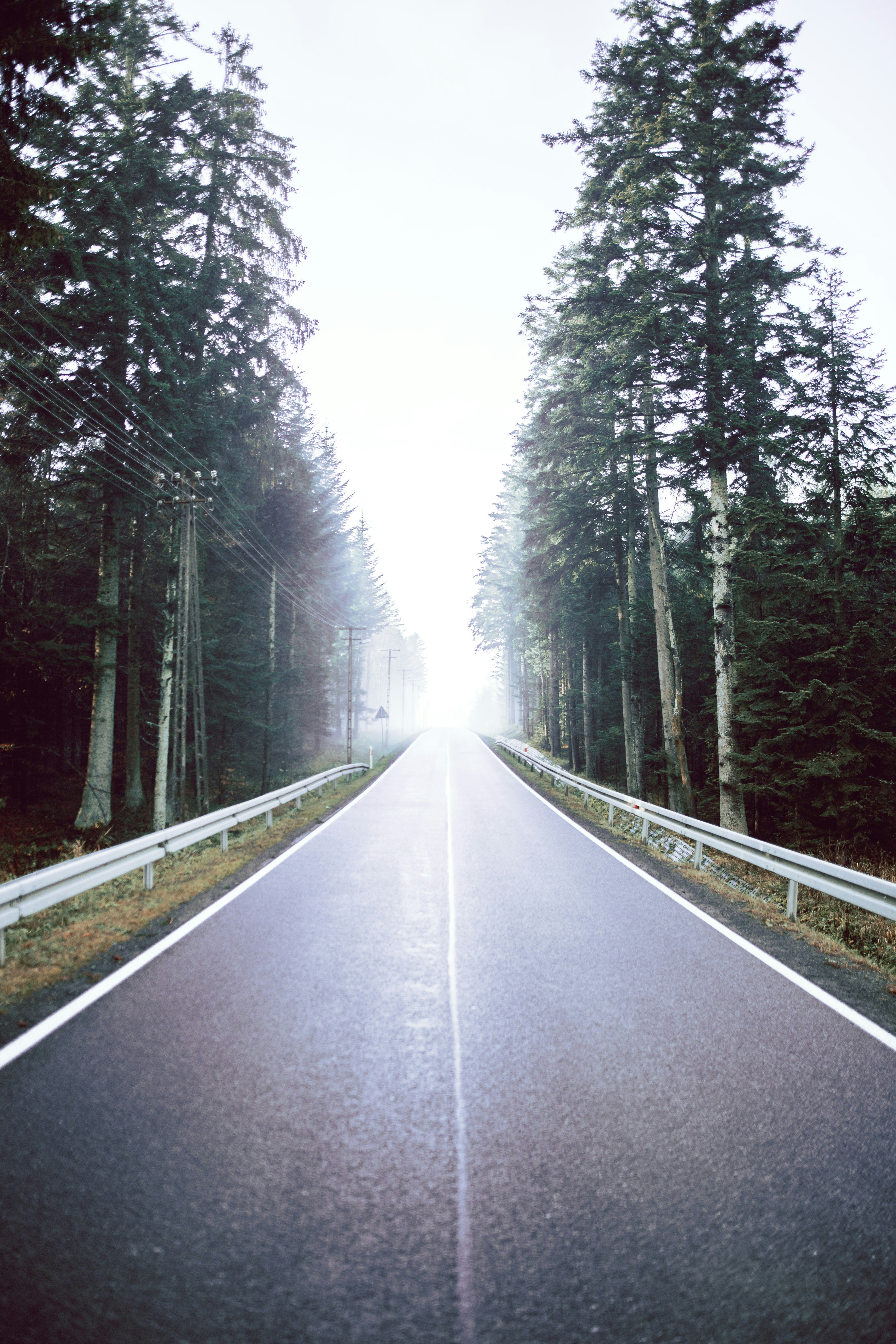 Photo by branislavrodman