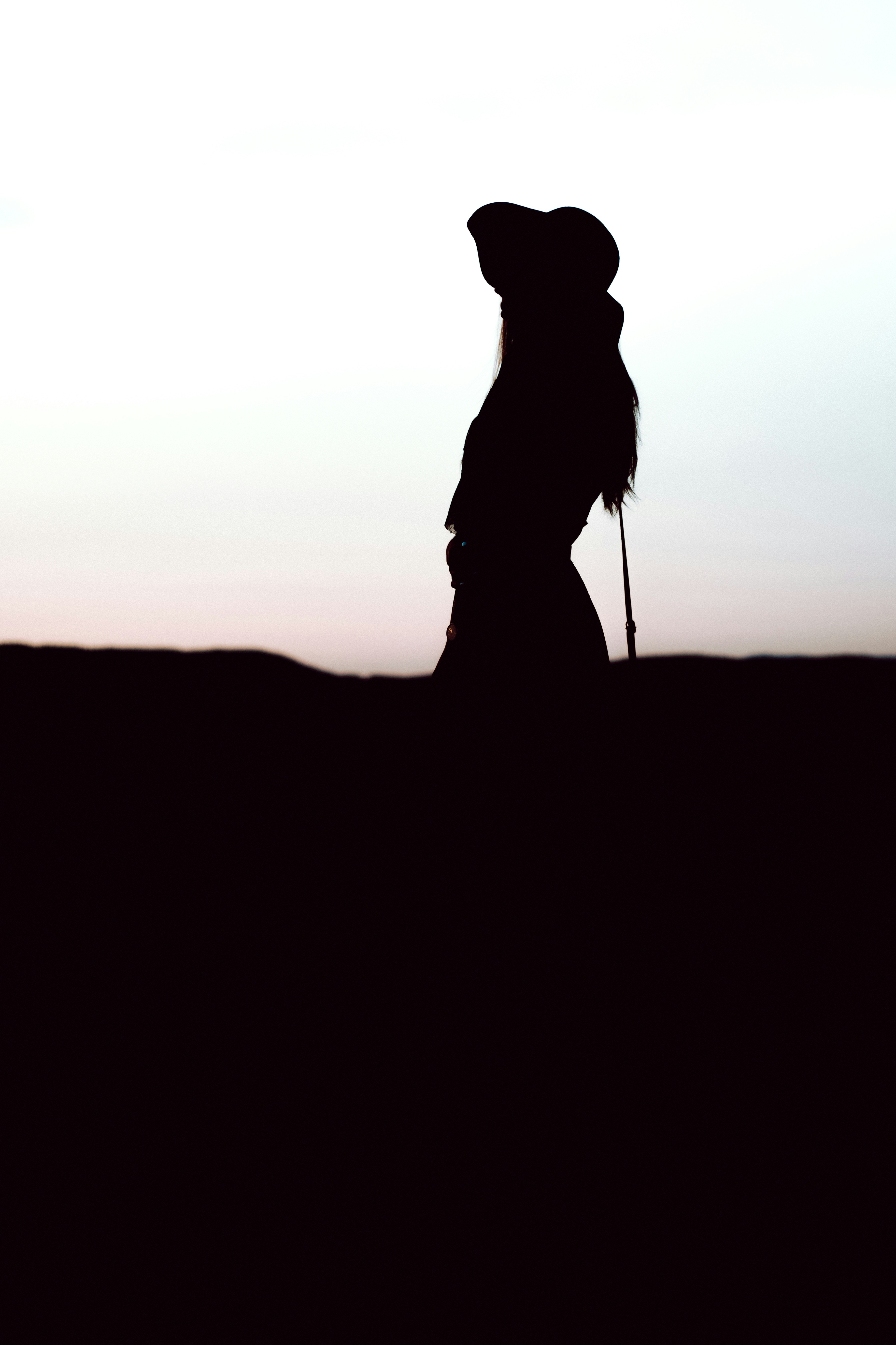 A silhouette of a person with a dog