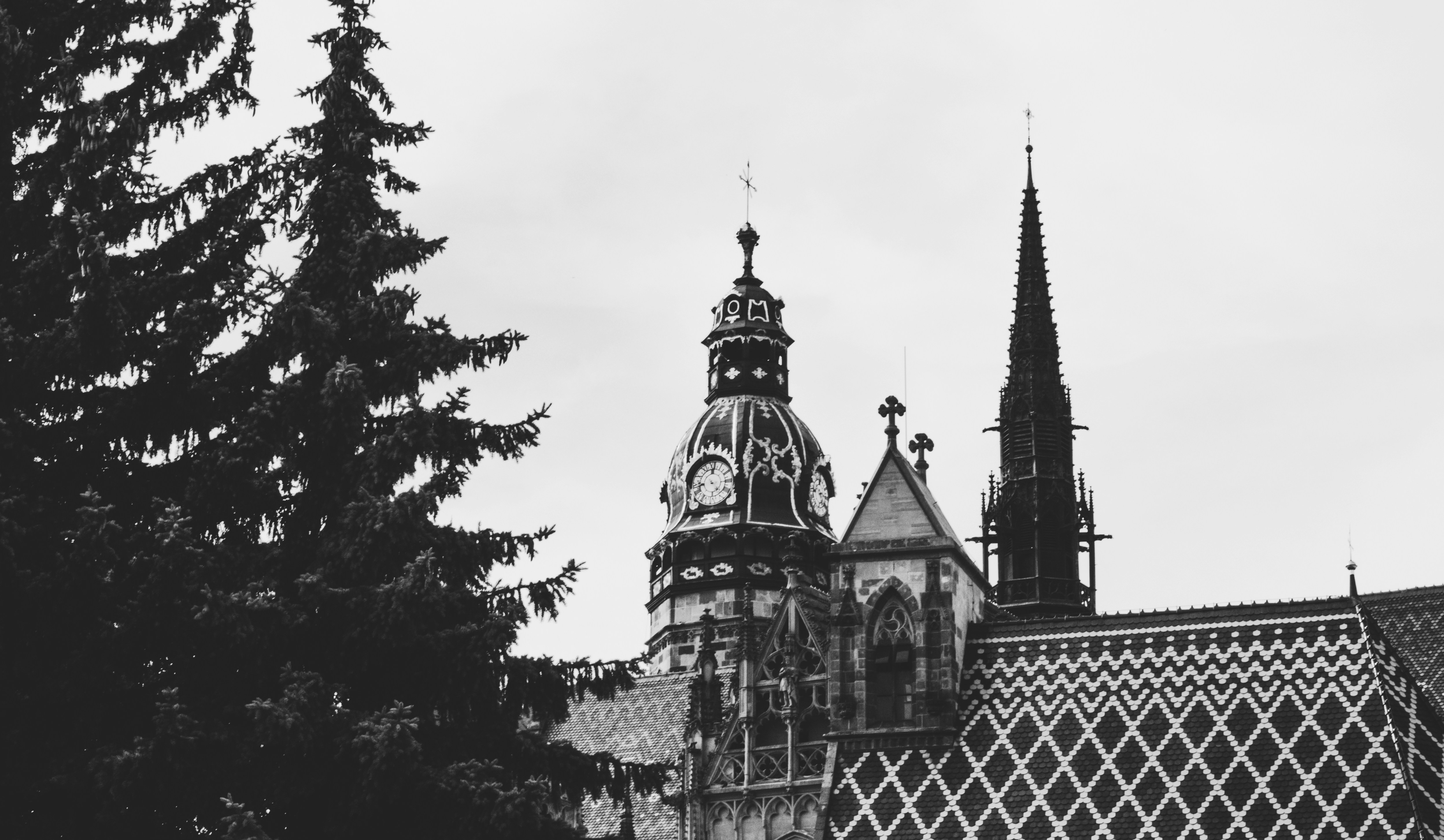 Photo by branislavrodman