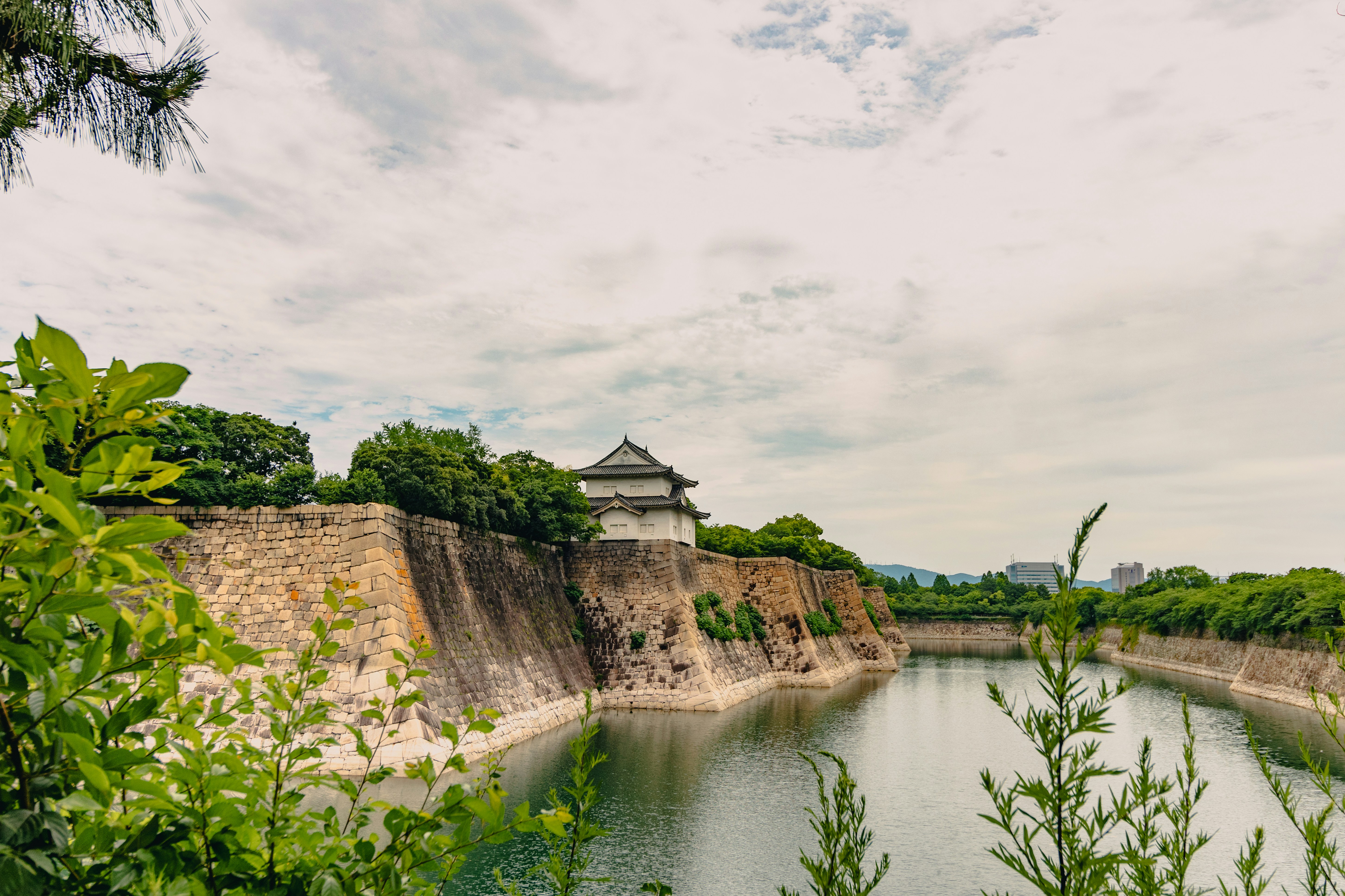 A large body of water surrounded by trees, 