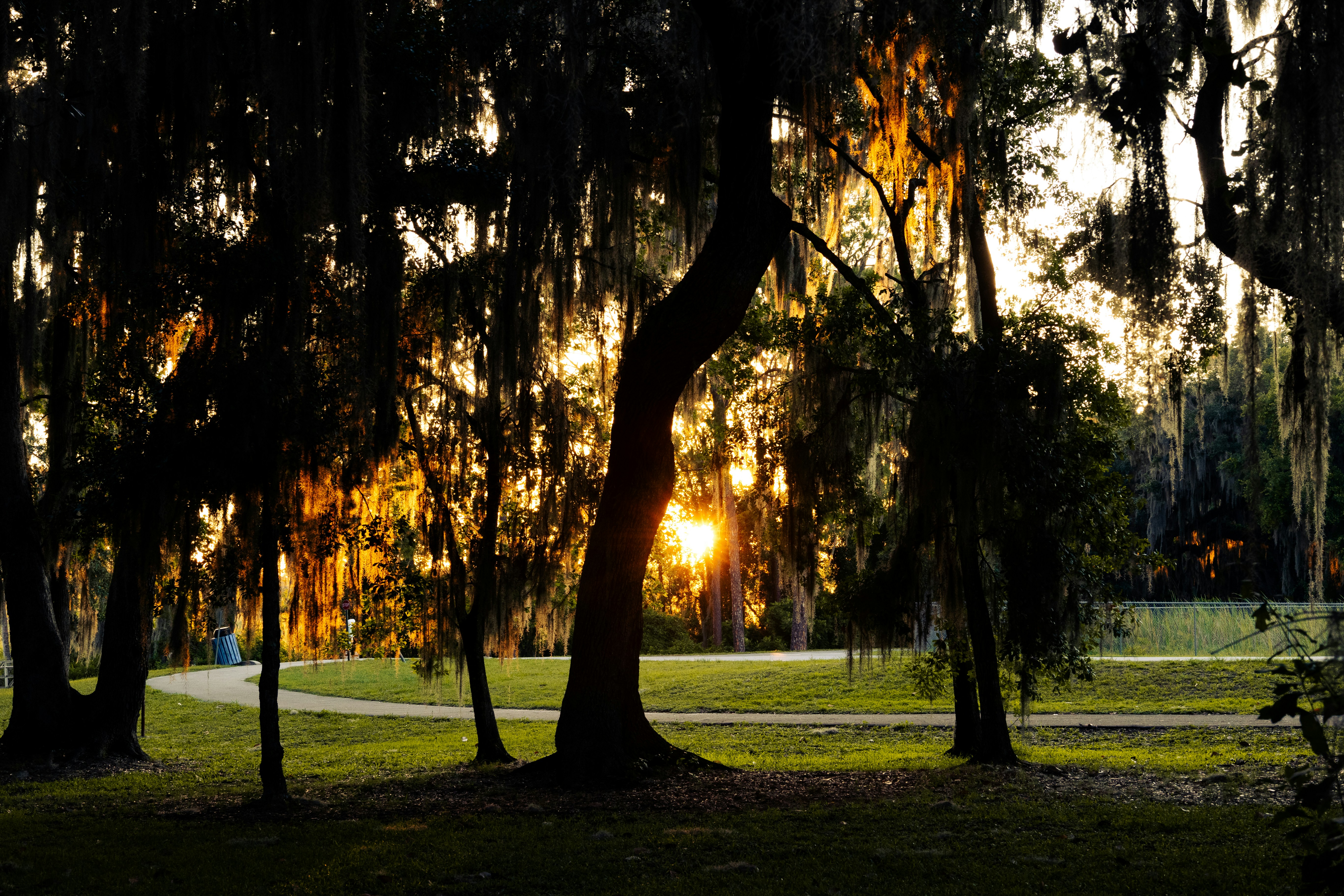 Photo by austinwicker