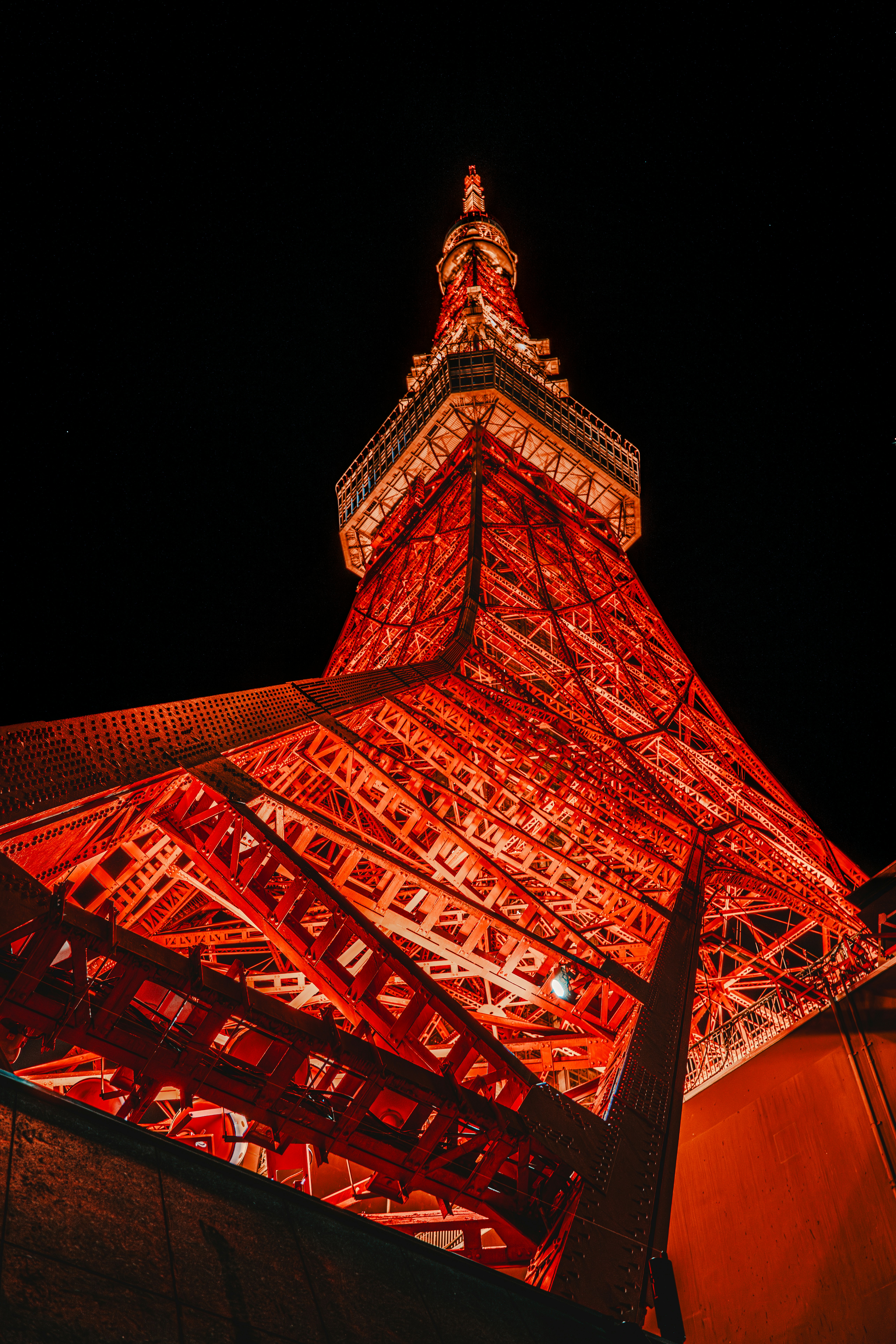 Projection mapping sakura and night market
