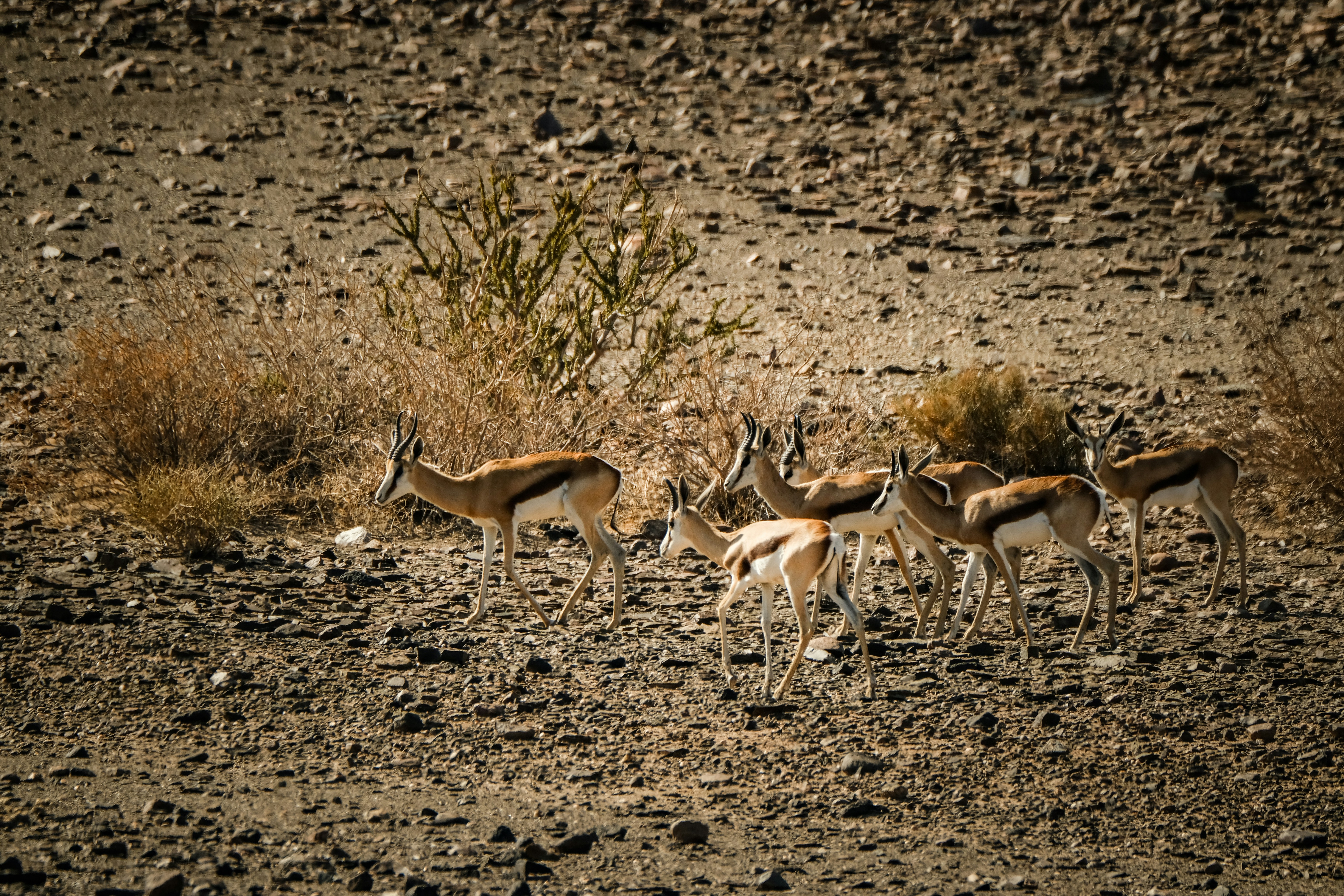 Photo by francesco_ungaro