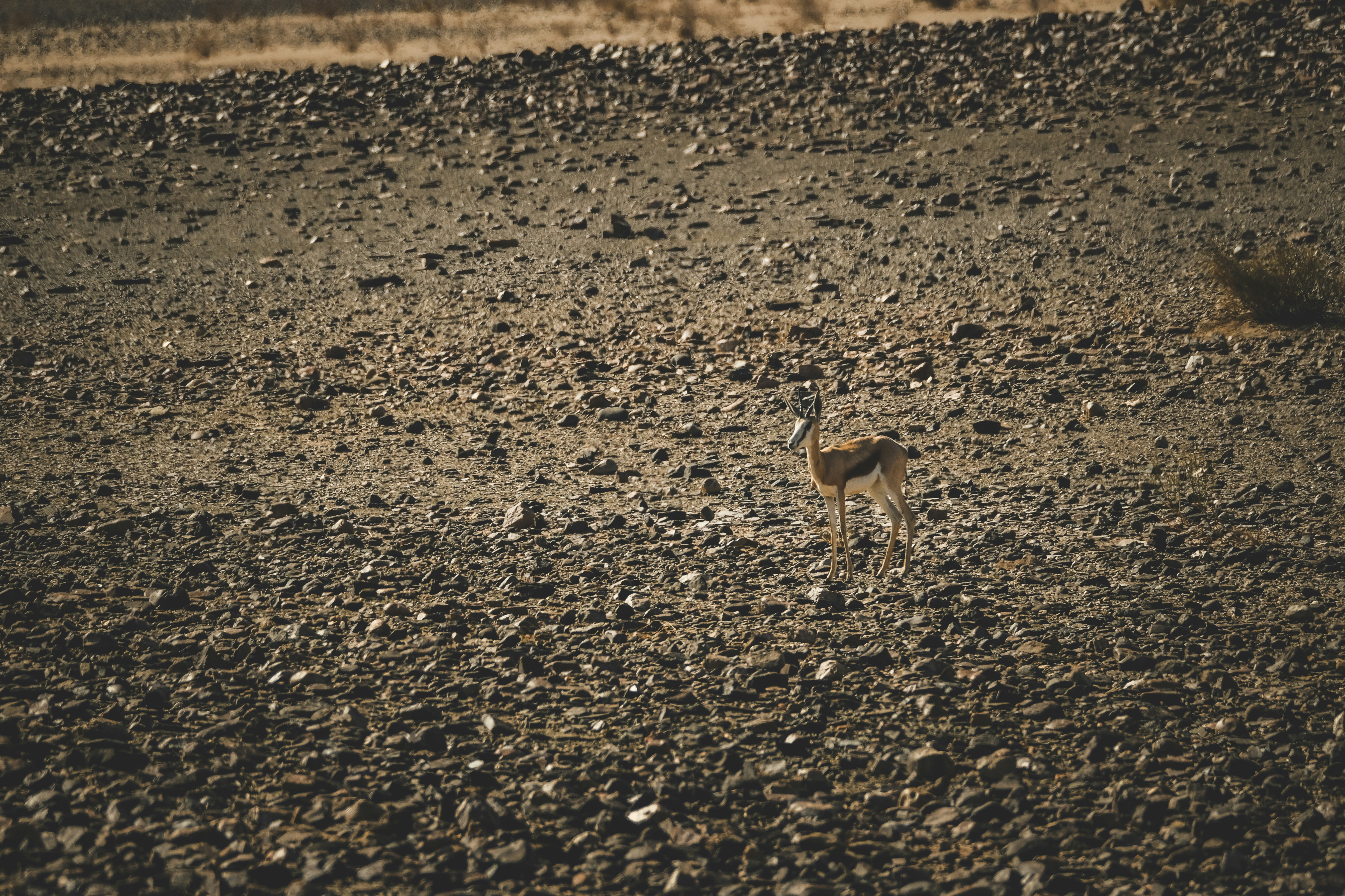 Photo by francesco_ungaro