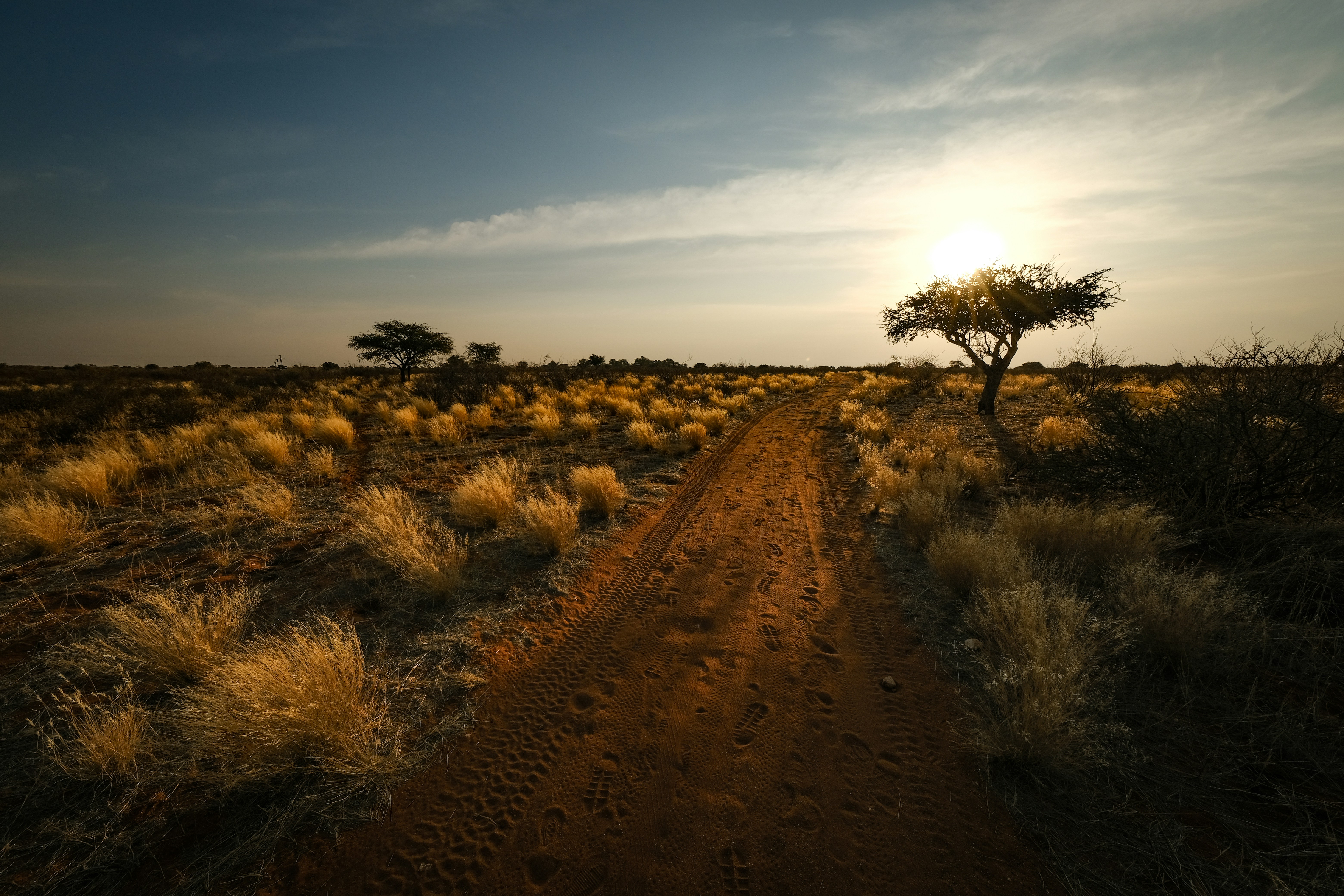 Photo by francesco_ungaro