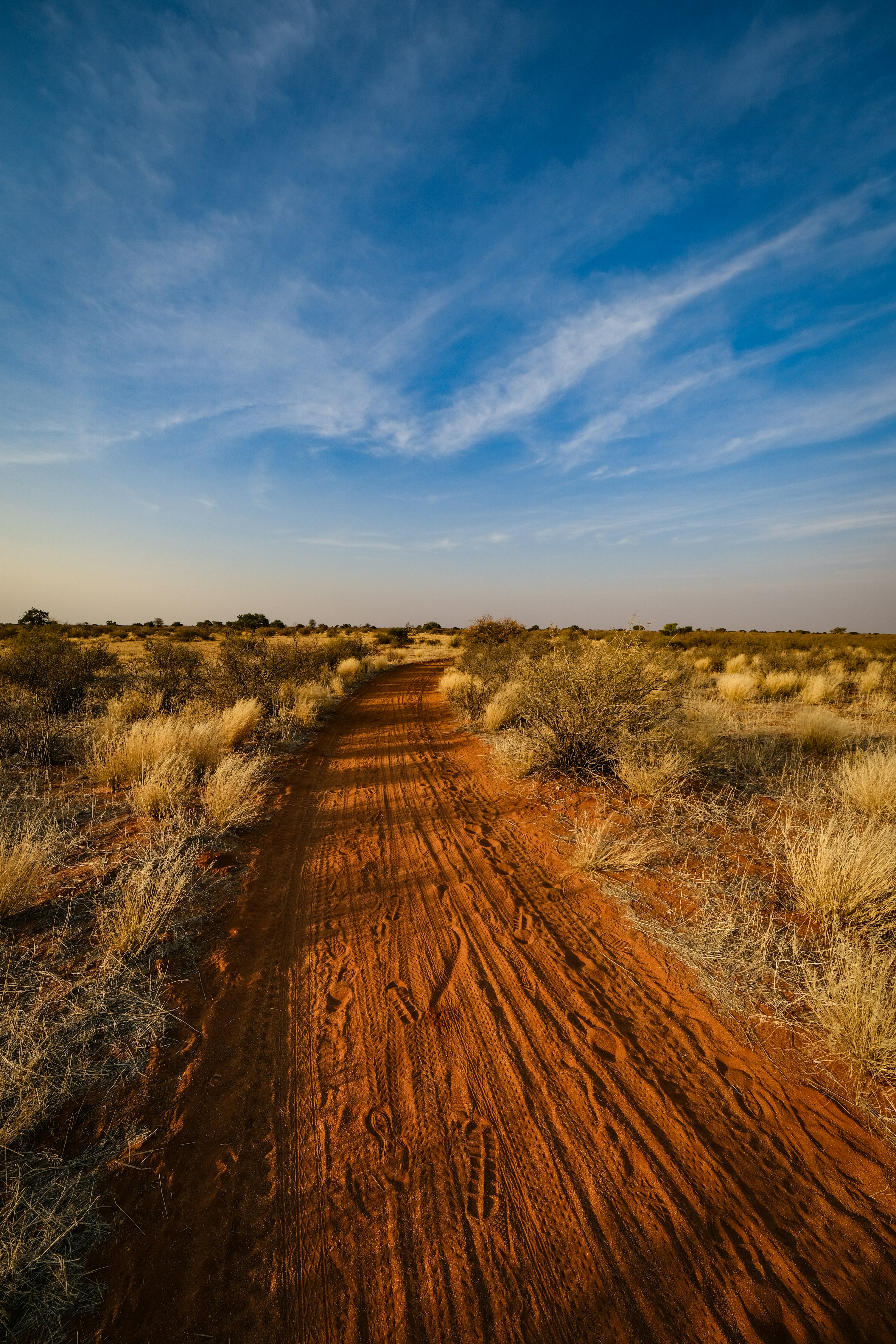 Photo by francesco_ungaro