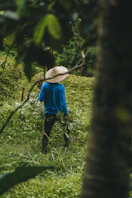 A person walking through a lush green forest