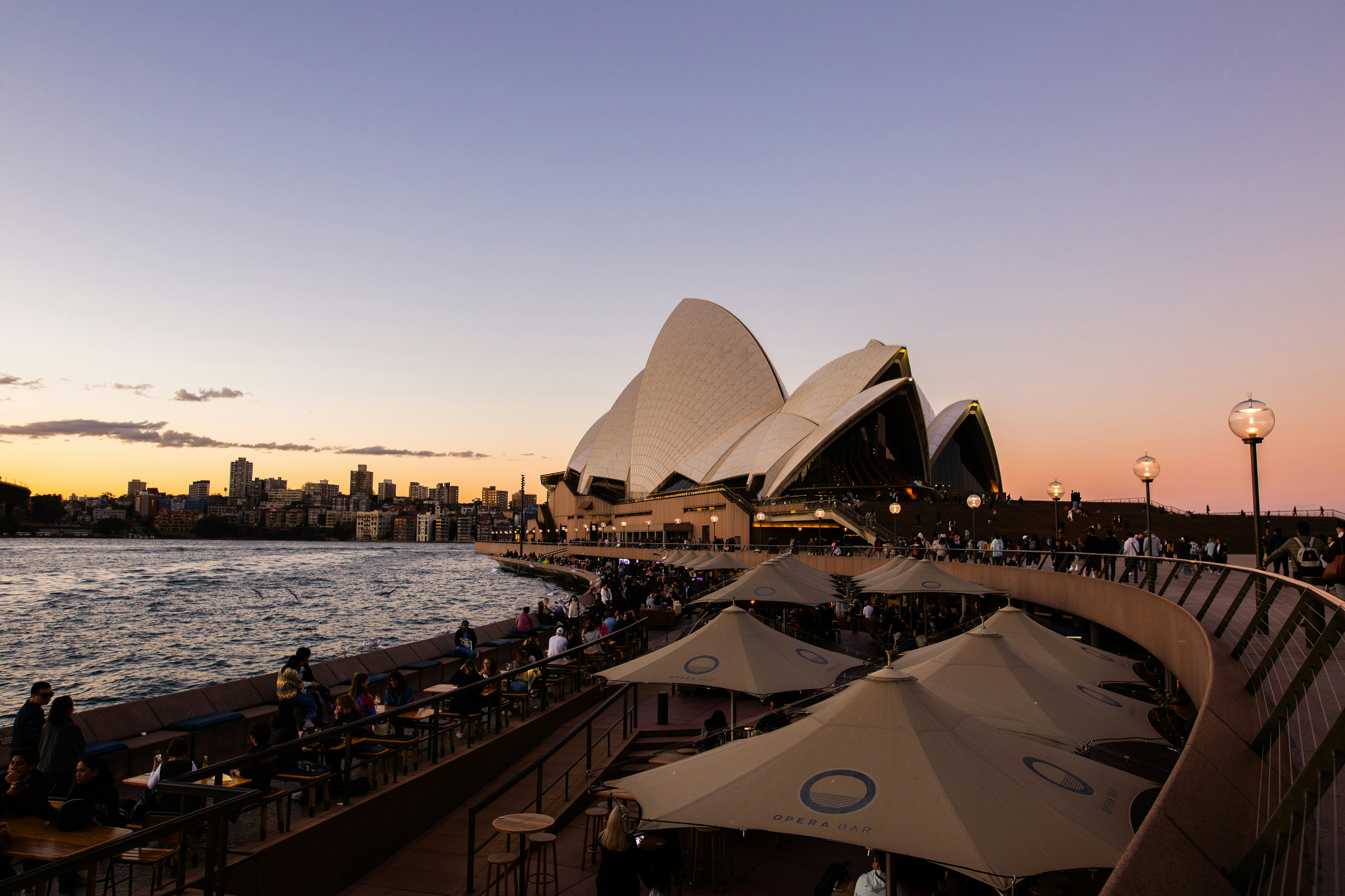 A group of people sitting under umbrellas next to a body of water