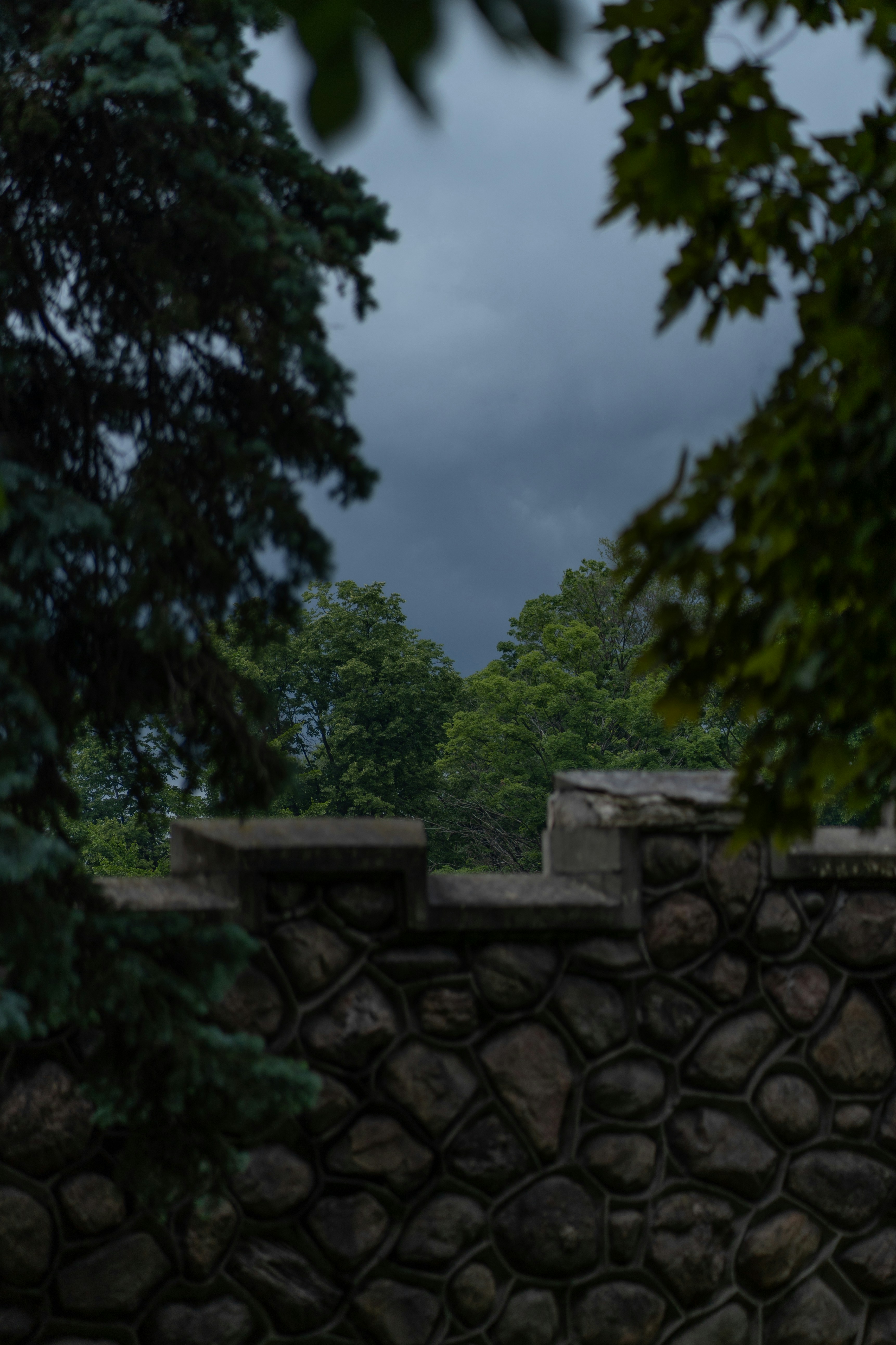 Photo by wolfart32