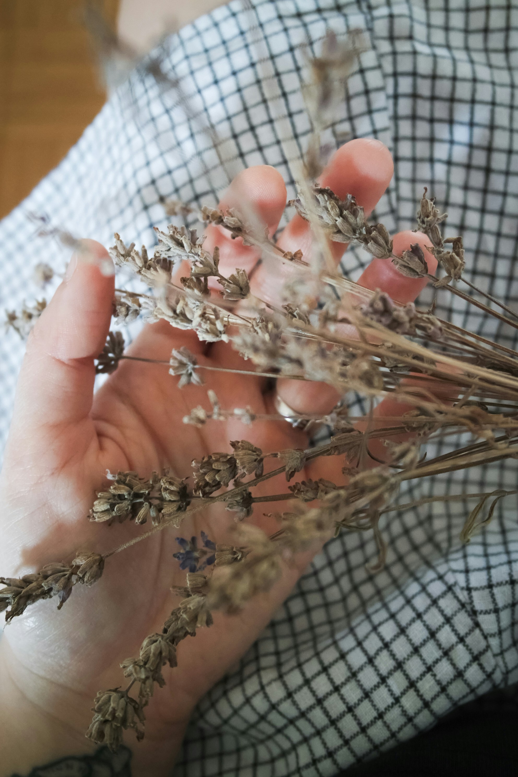 A person holding a bunch of flowers in their hands