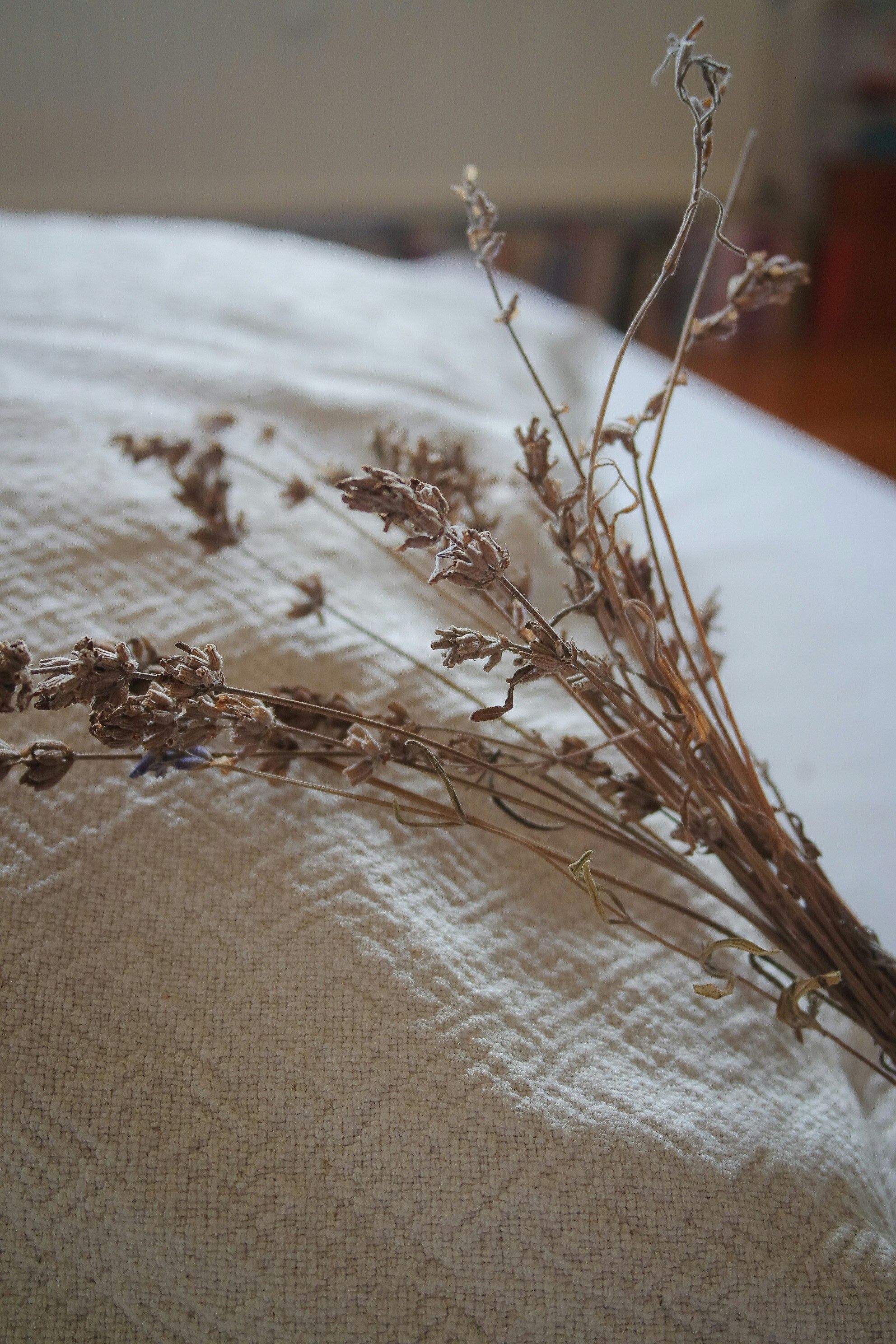 Photo by giulia_bertelli