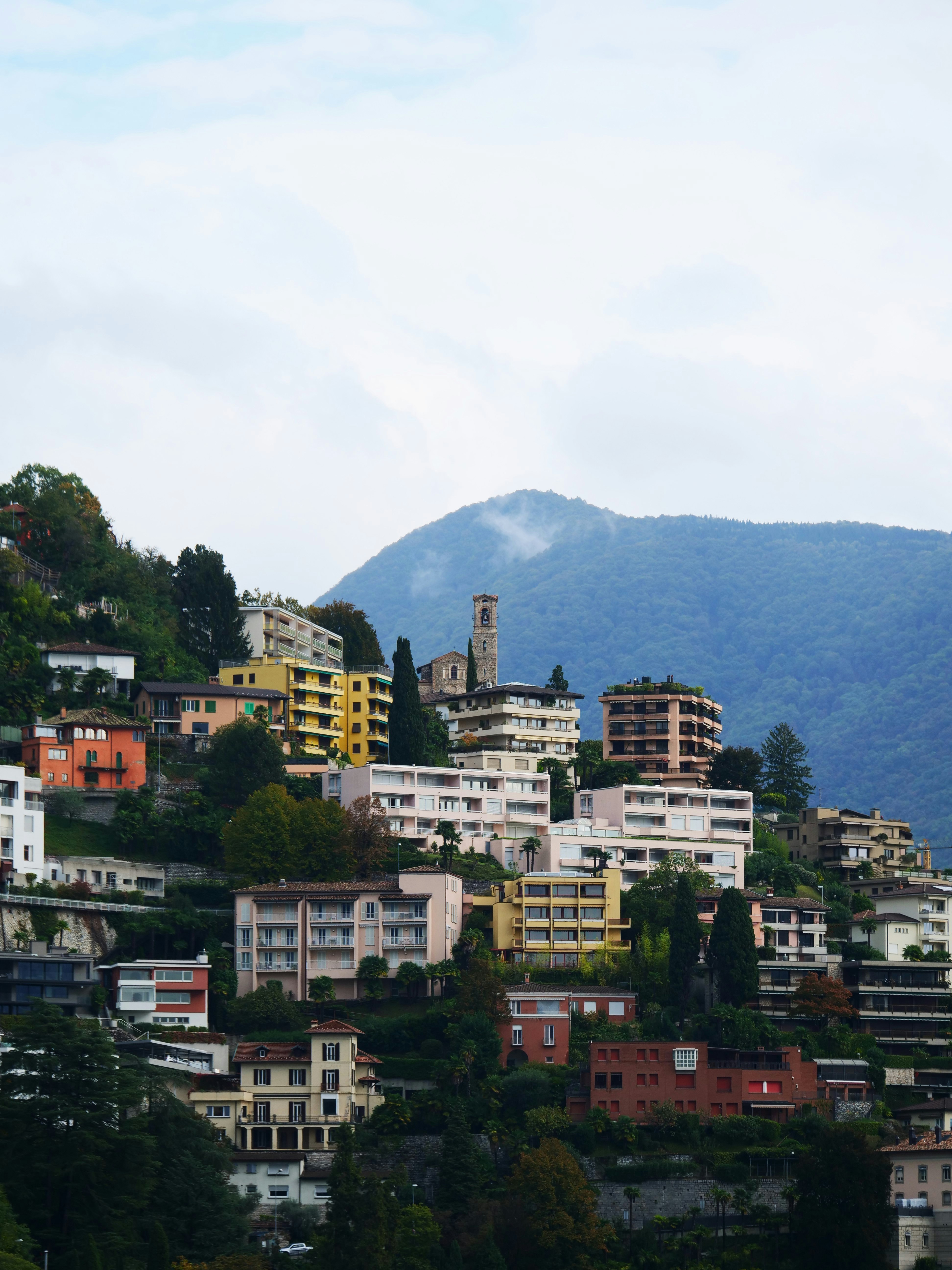 Photo by nimbus_vulpis