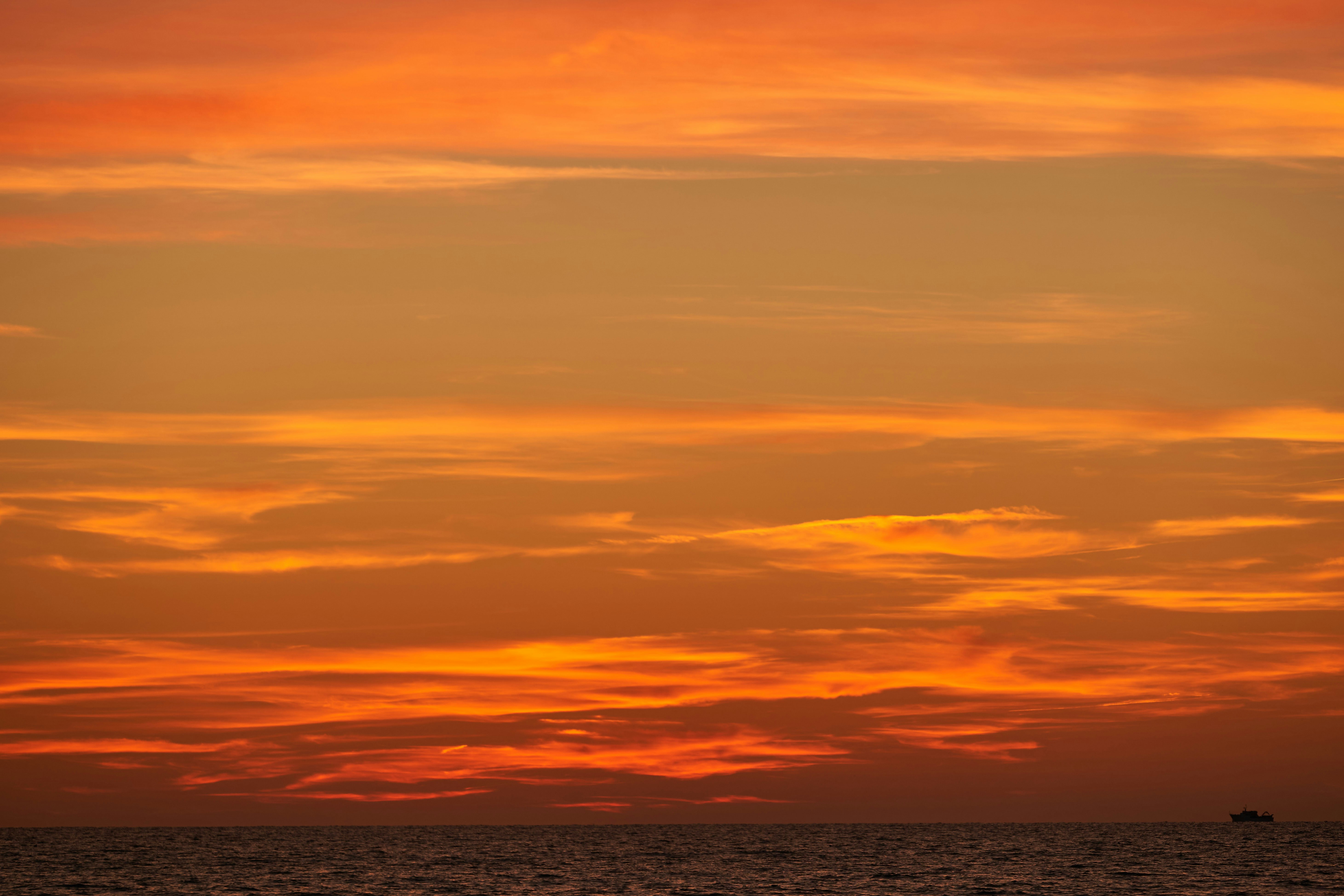 Photo by wolfgang_hasselmann