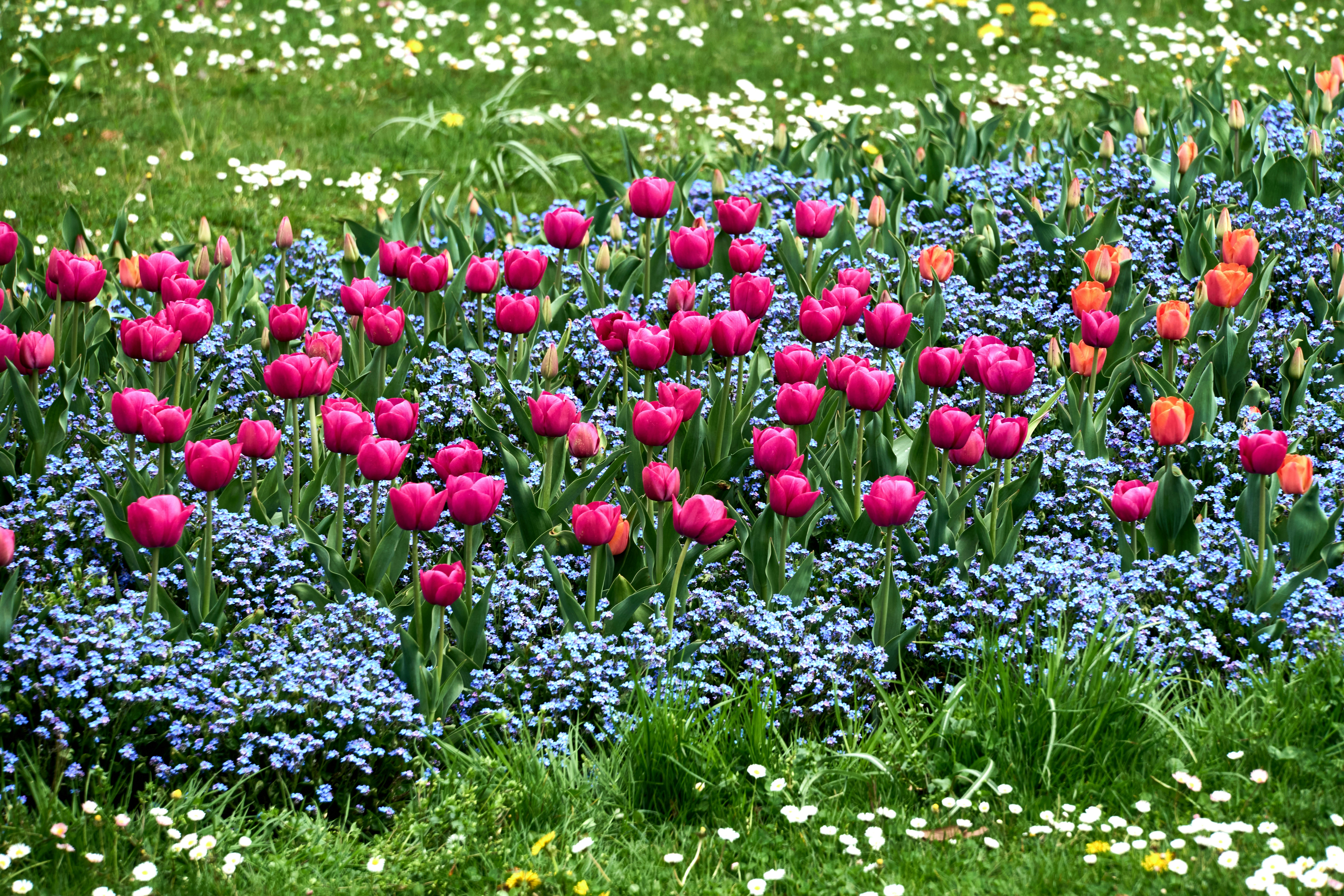 Photo by wolfgang_hasselmann