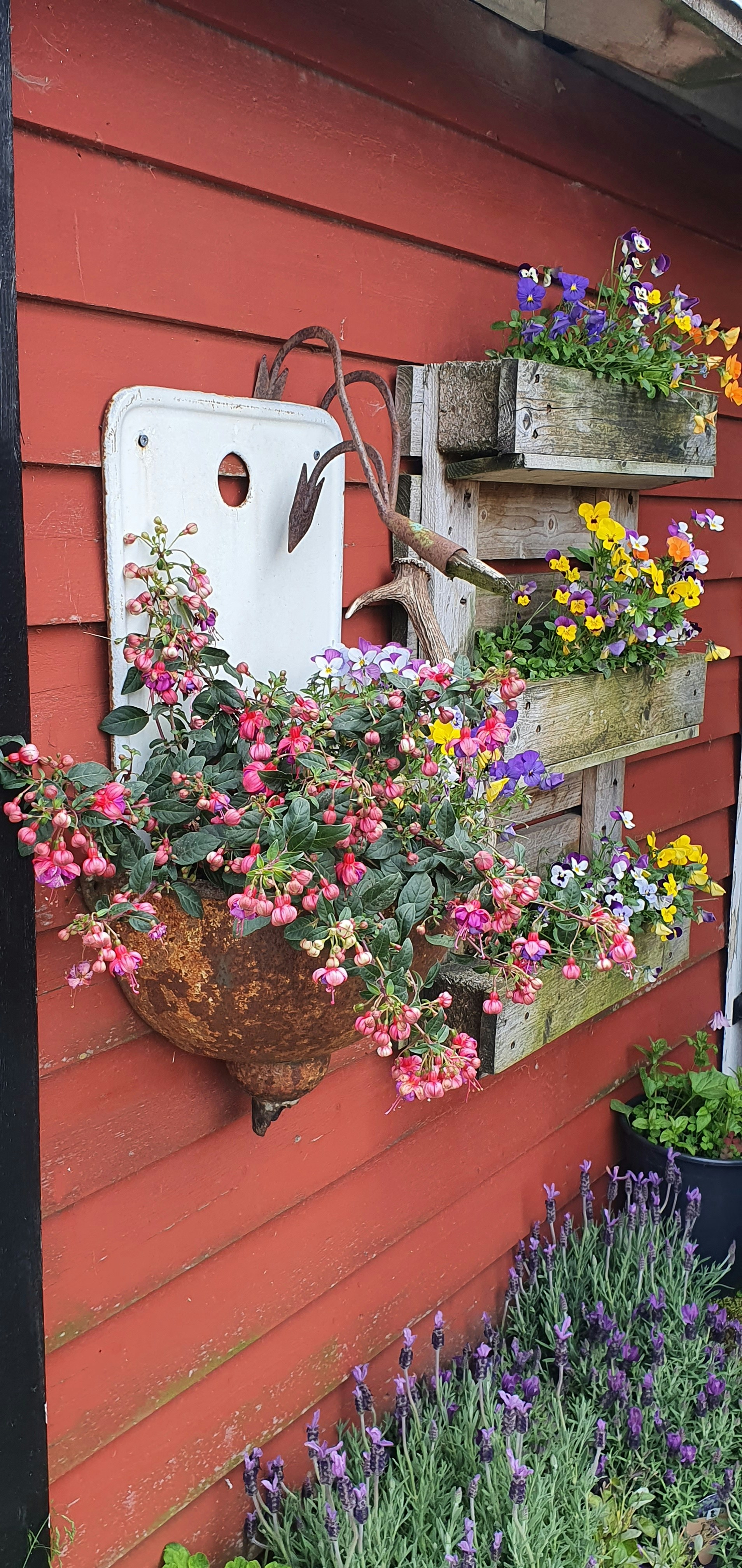 A bunch of flowers that are on a red building