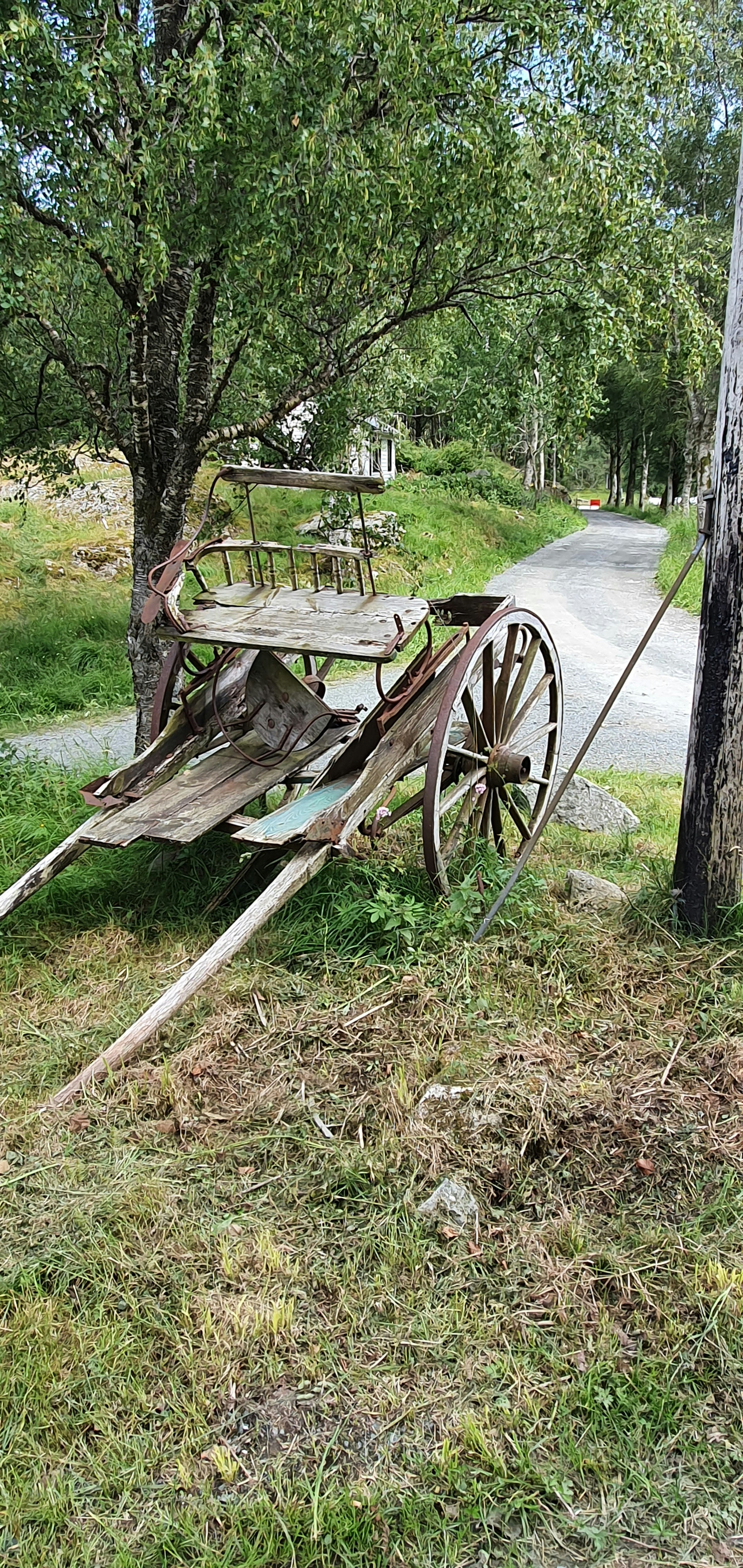 Un vecchio carro appoggiato a un albero sul ciglio di una strada