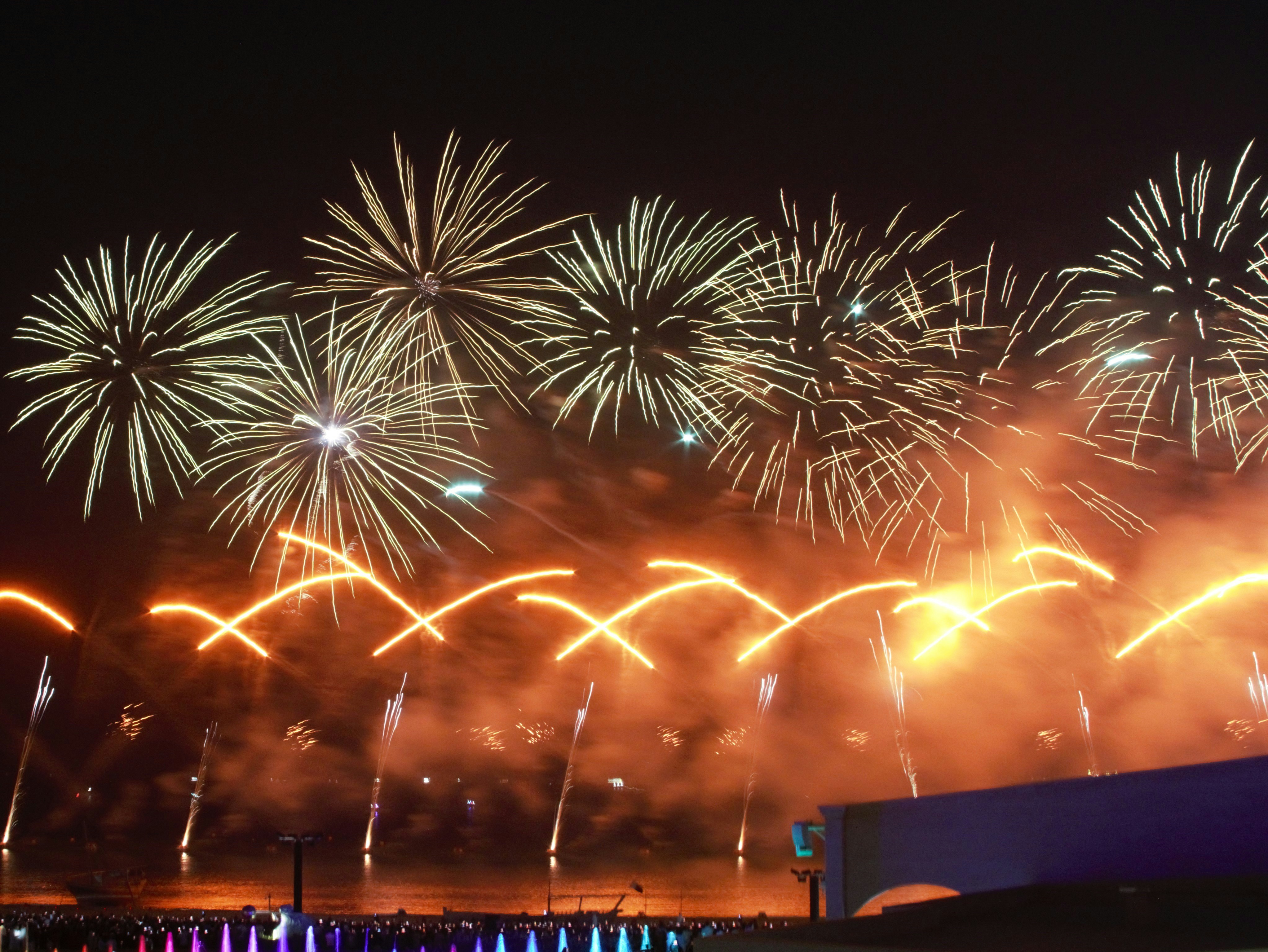 Fireworks are lit up in the night sky