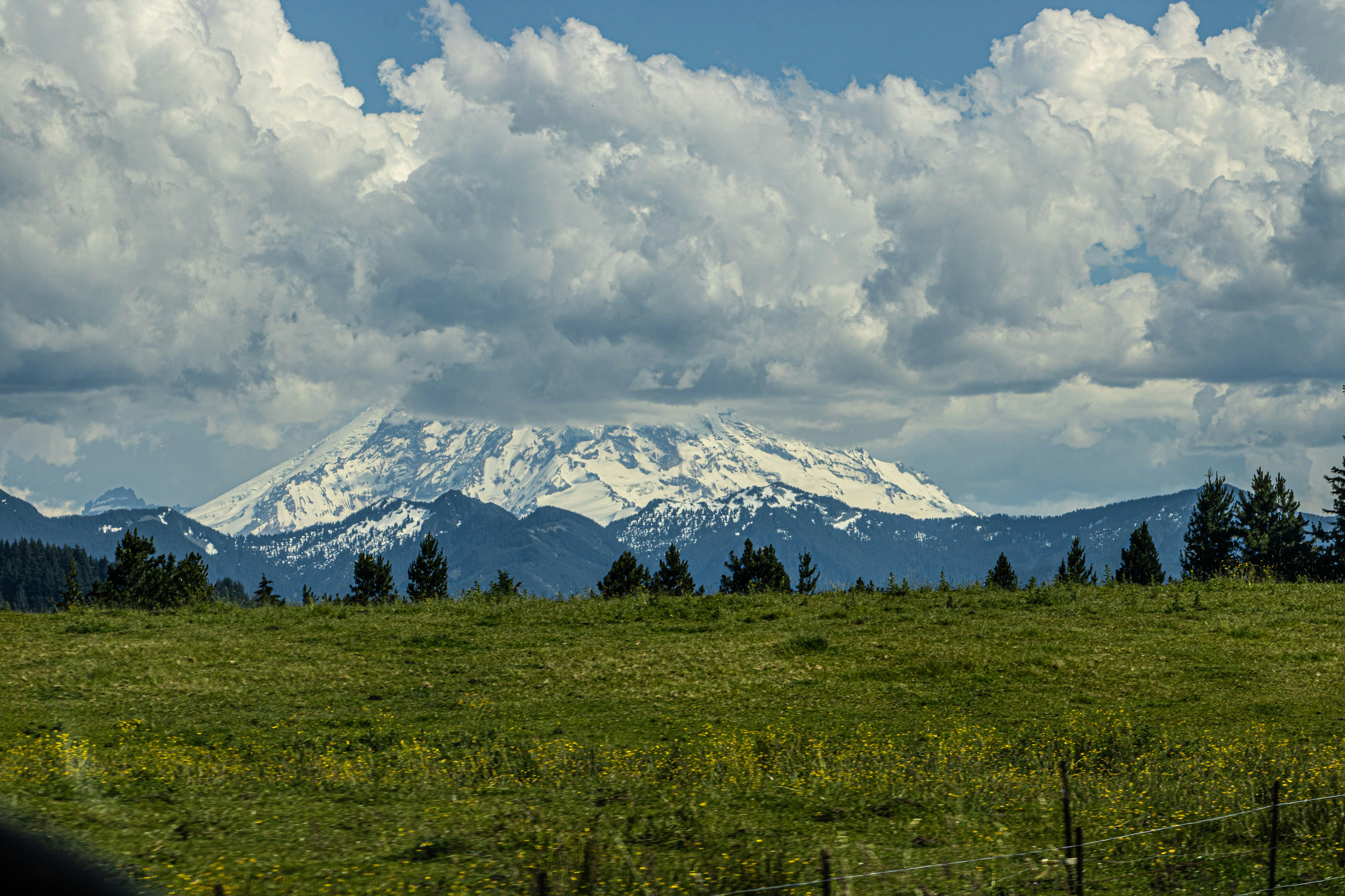 Photo by prphotography262