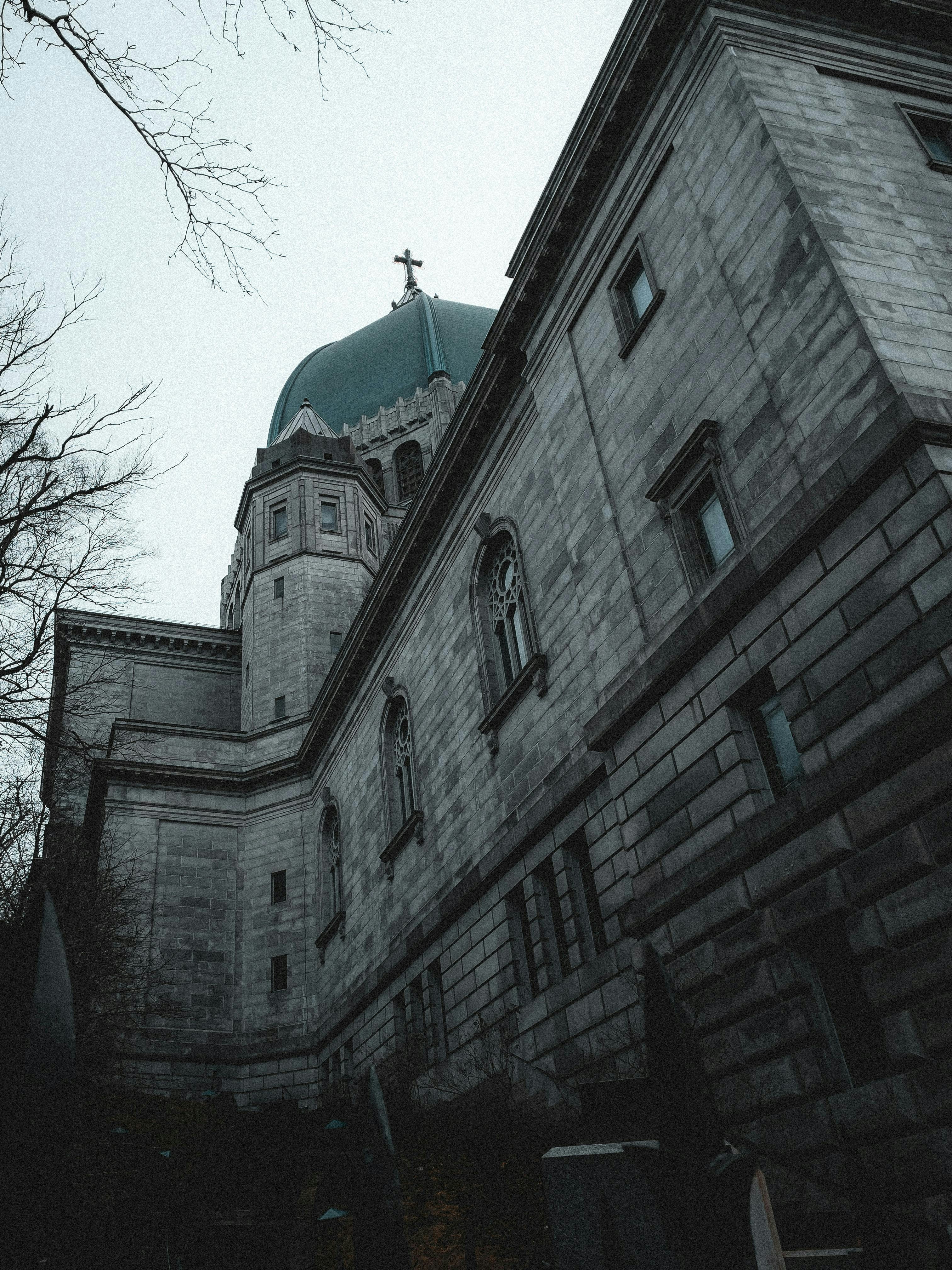 Photo by allenboguslavsky