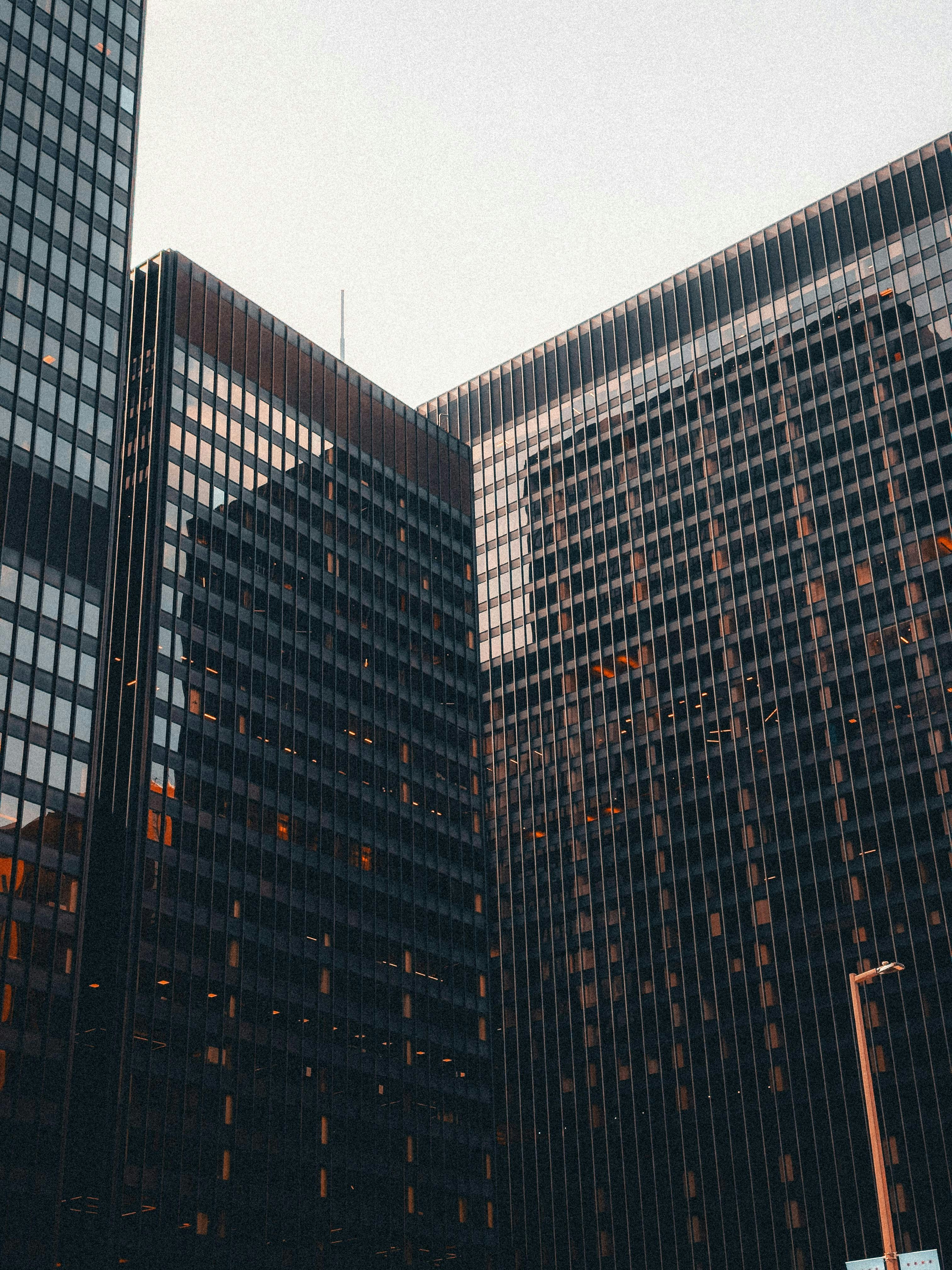 Photo by allenboguslavsky