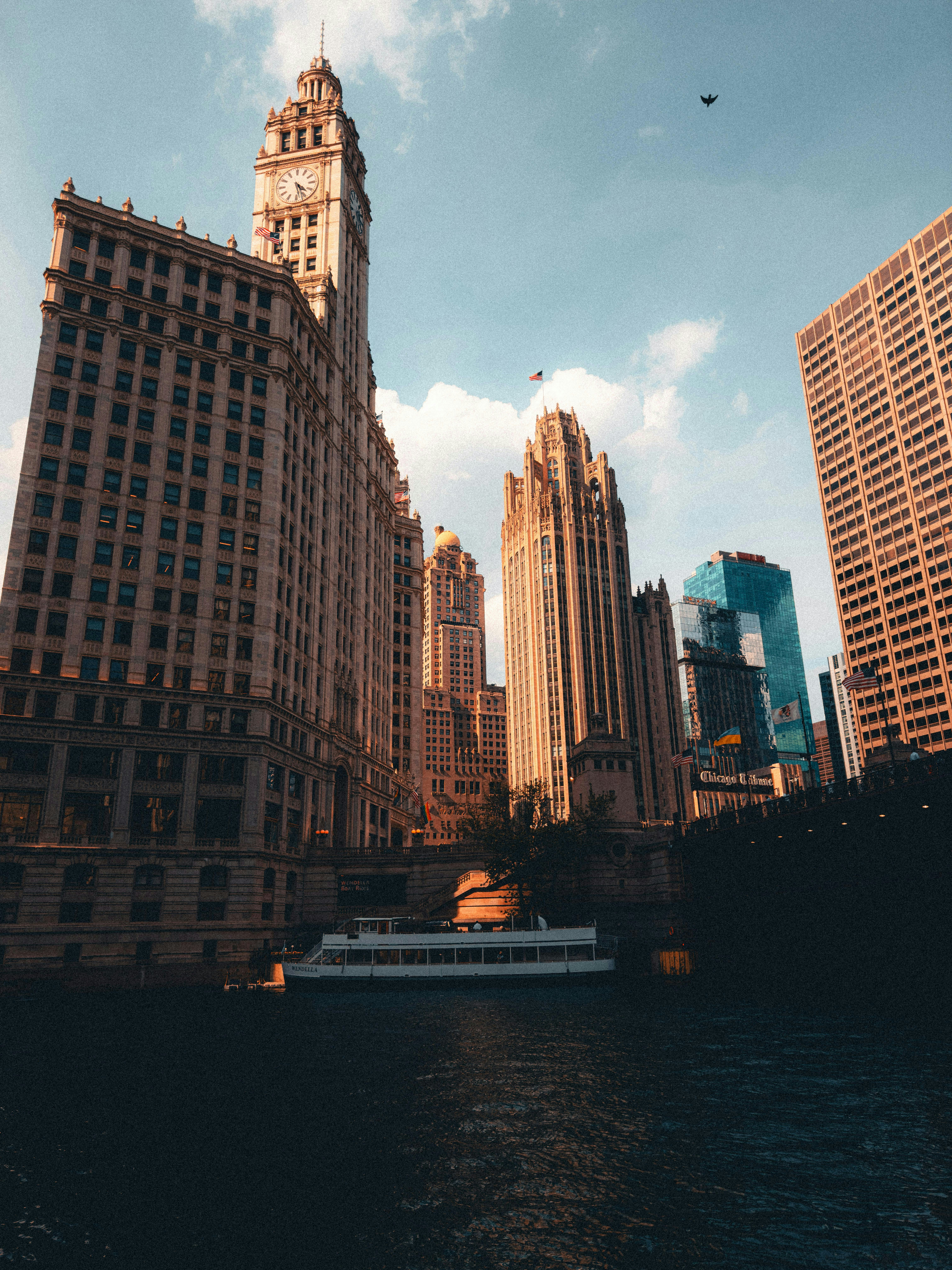 Photo by allenboguslavsky