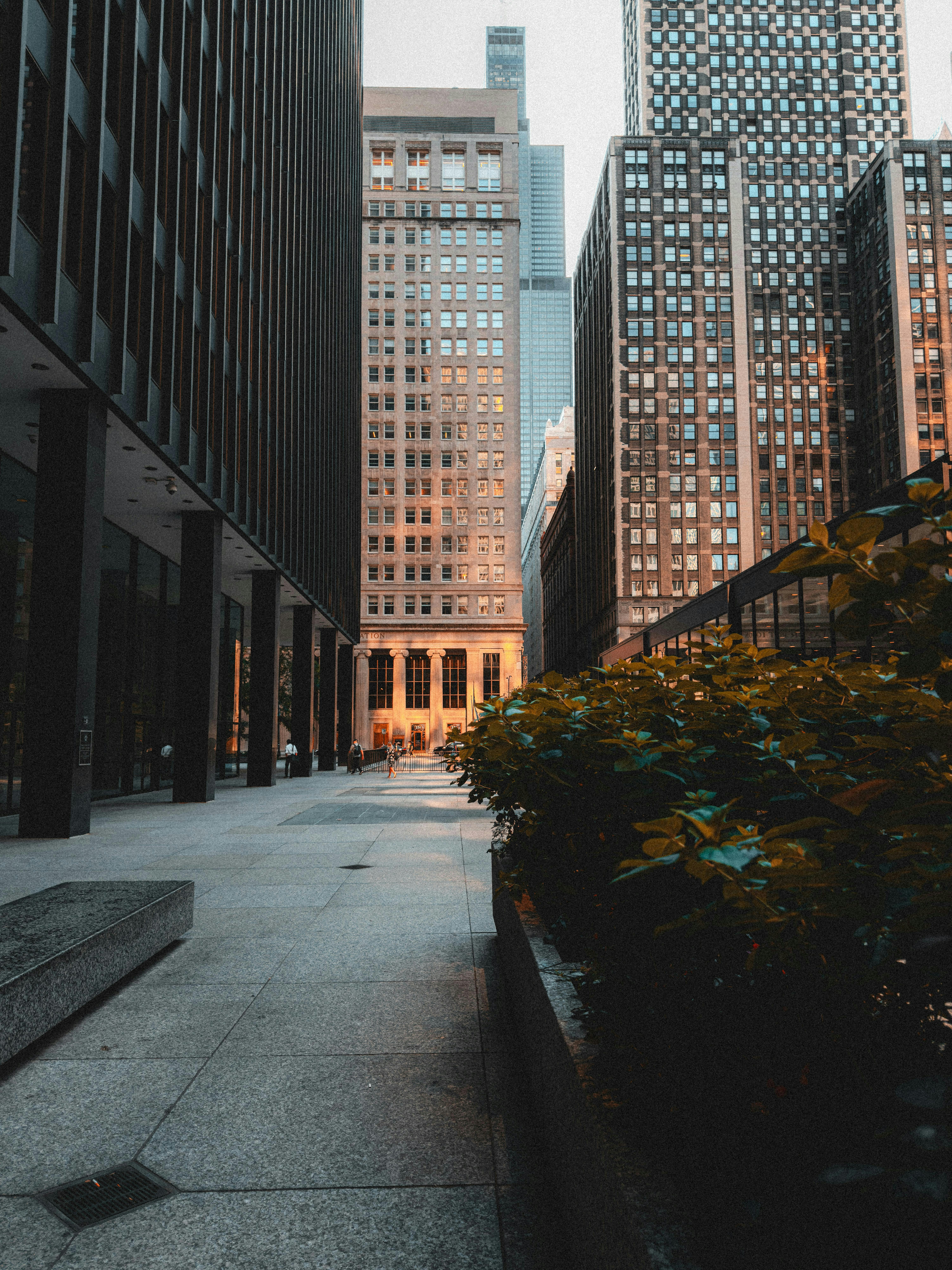 Photo by allenboguslavsky