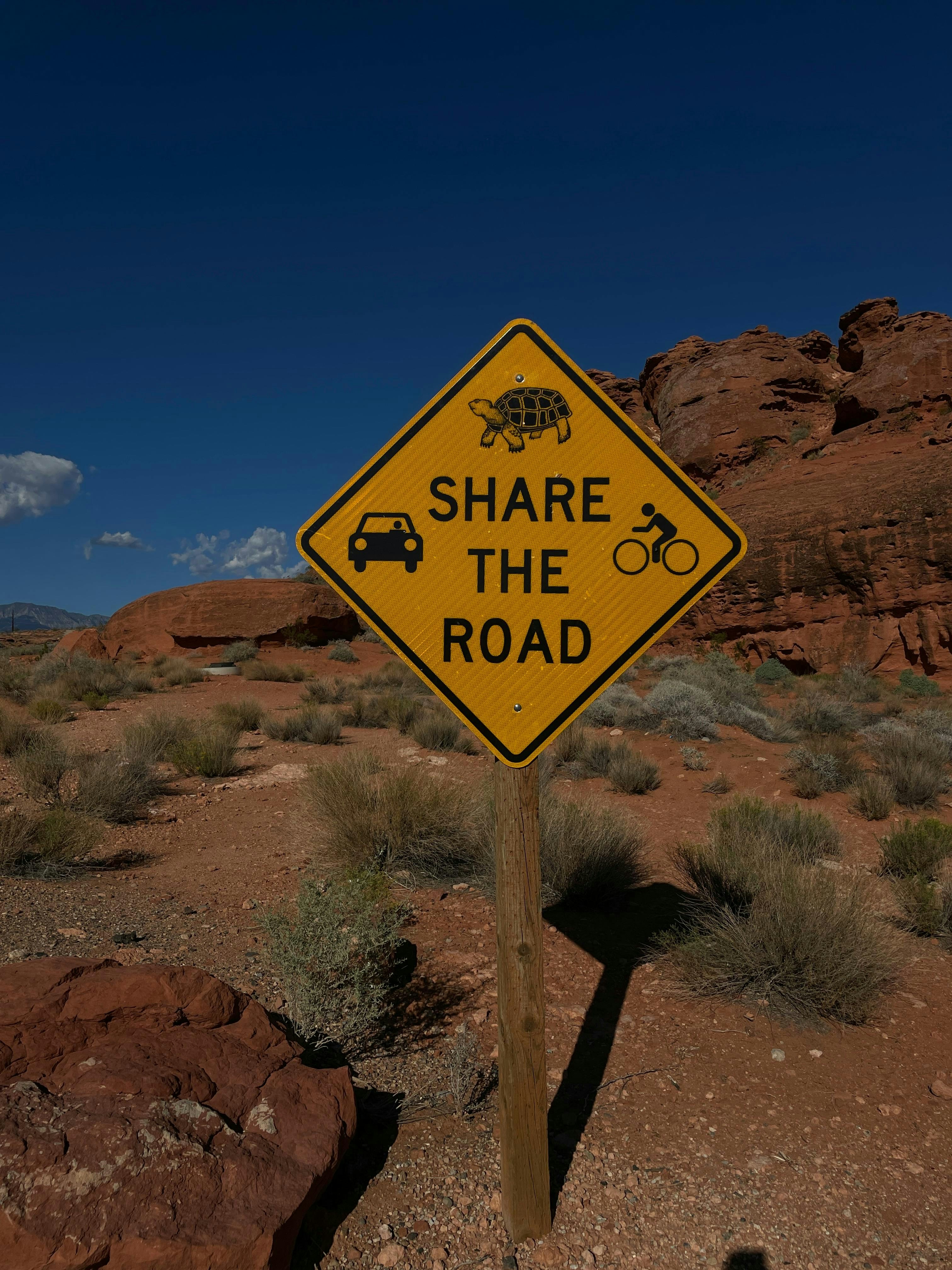 Photo by allenboguslavsky