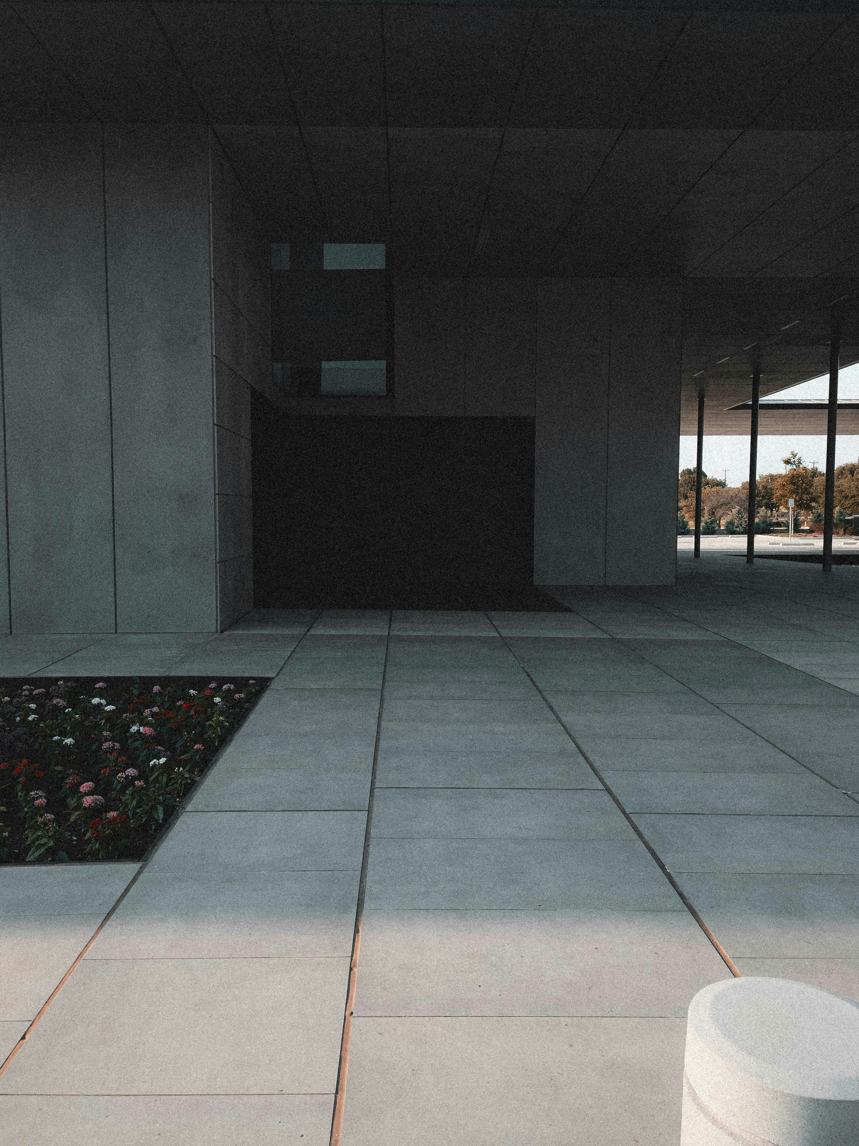 Photo by allenboguslavsky