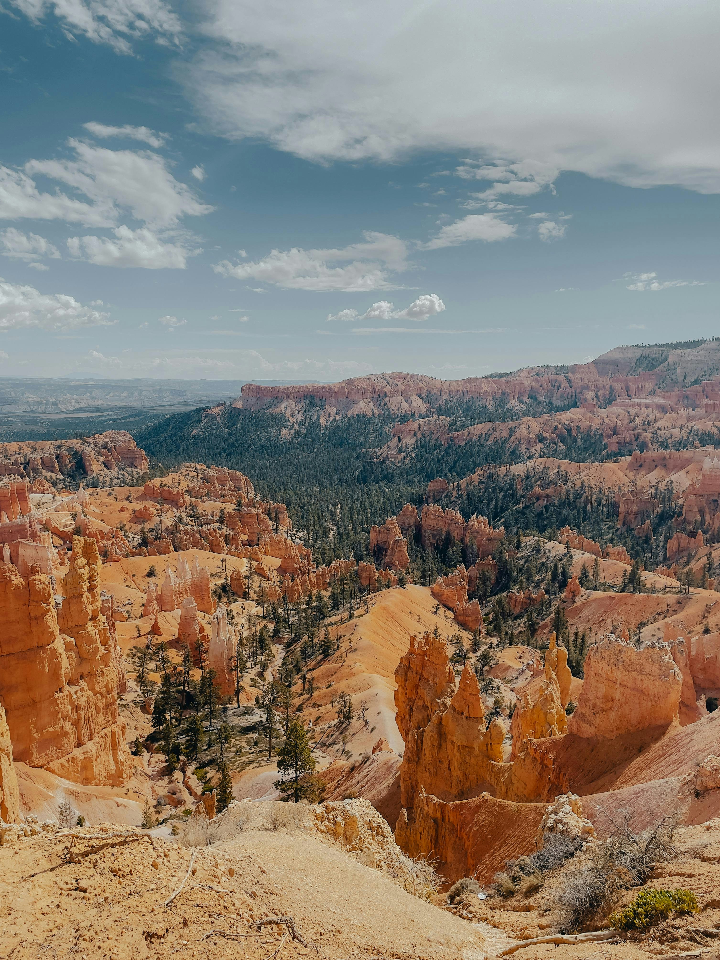 Photo by allenboguslavsky