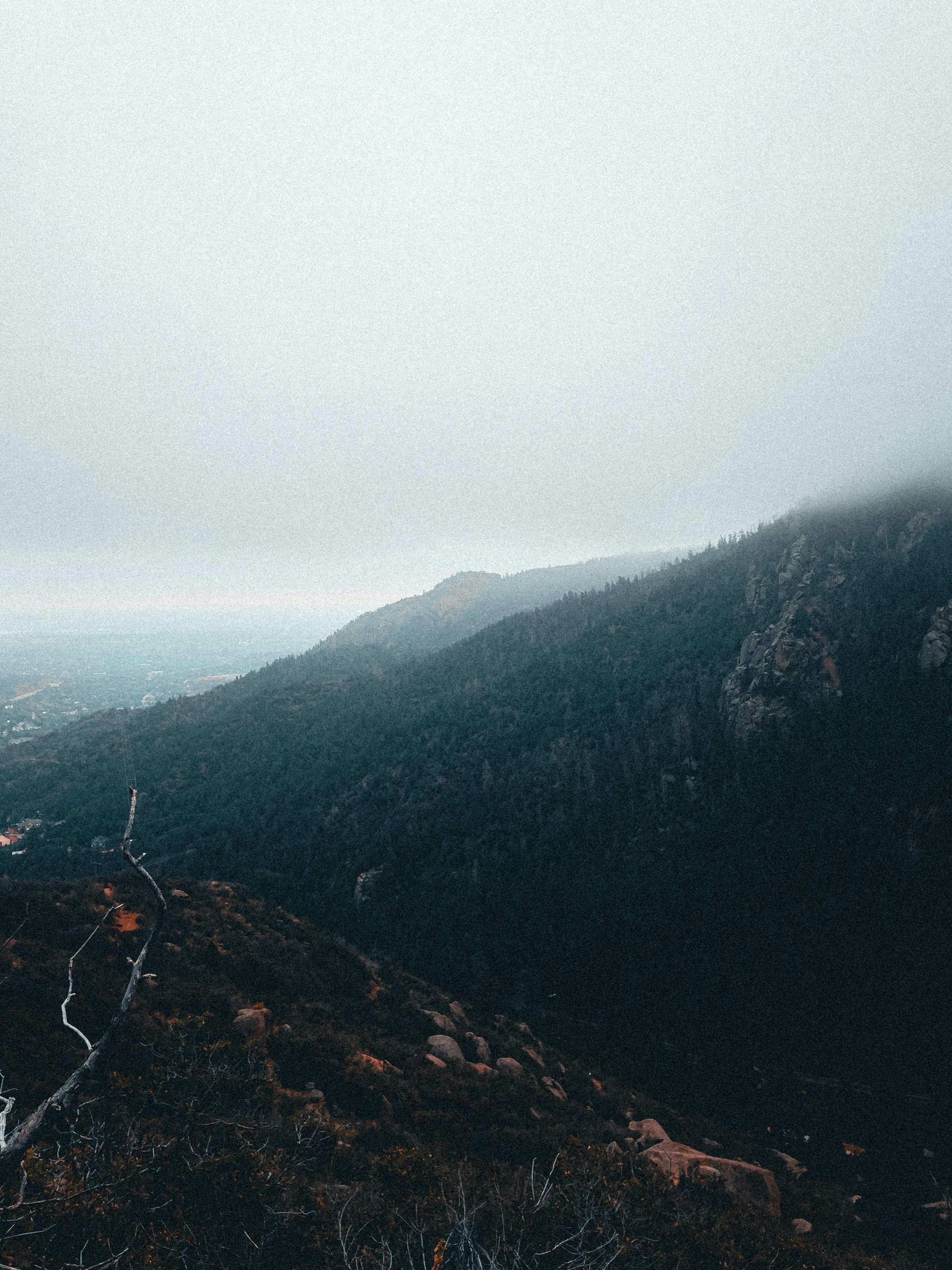 Photo by allenboguslavsky